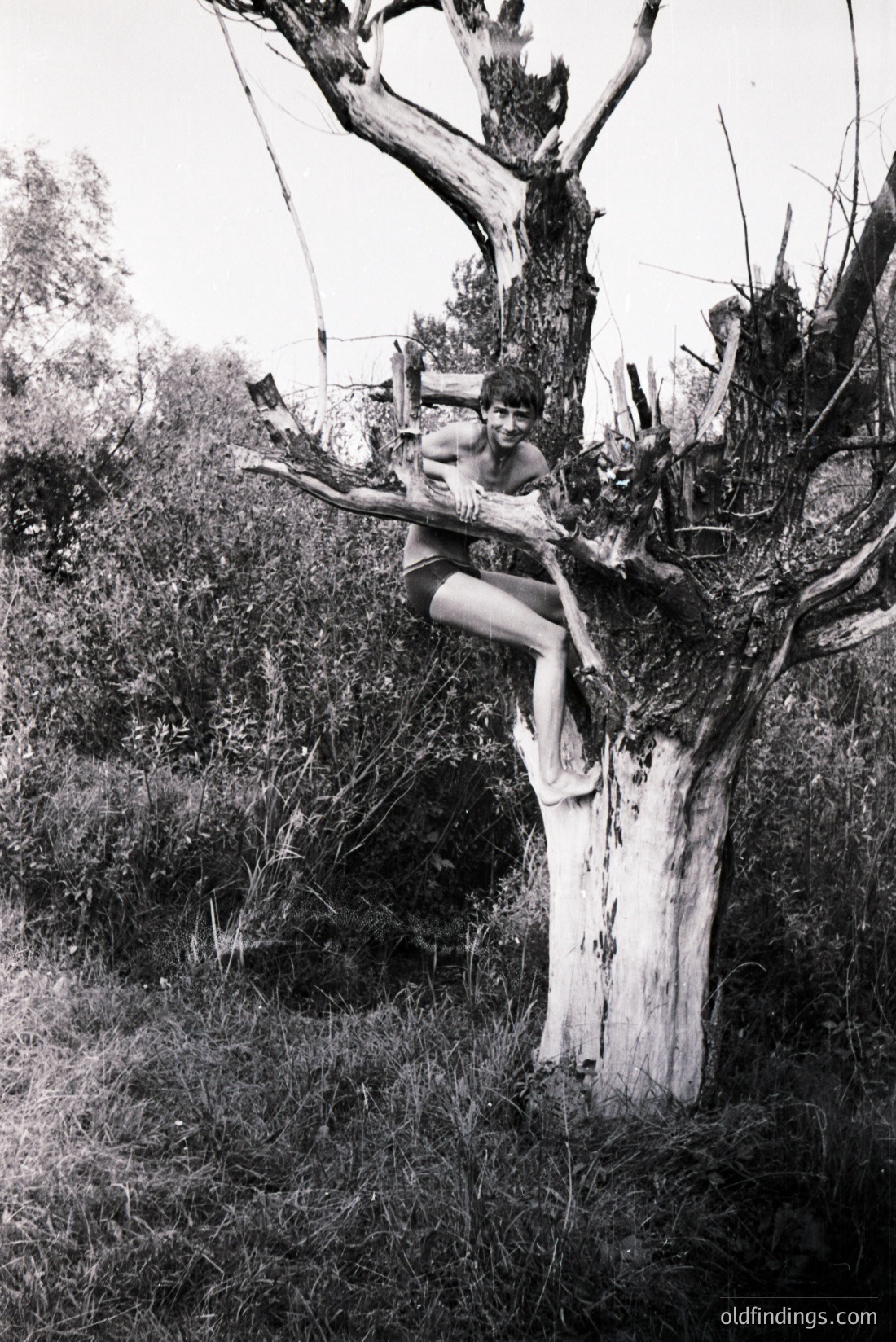 Vintage photograph