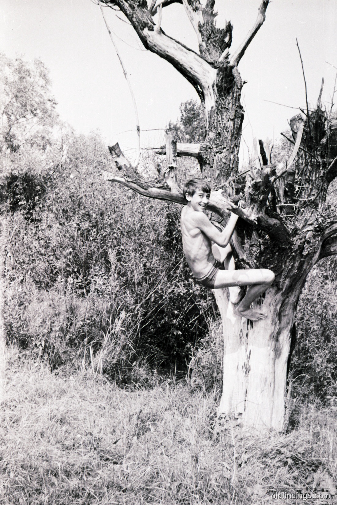 Vintage photograph