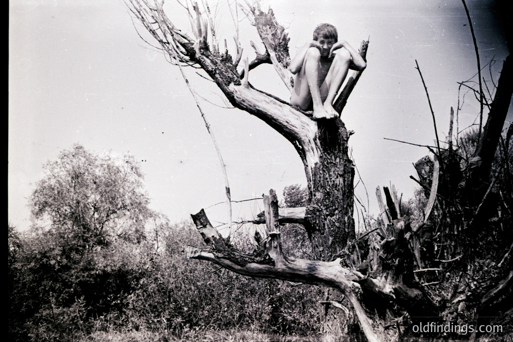 Vintage photograph