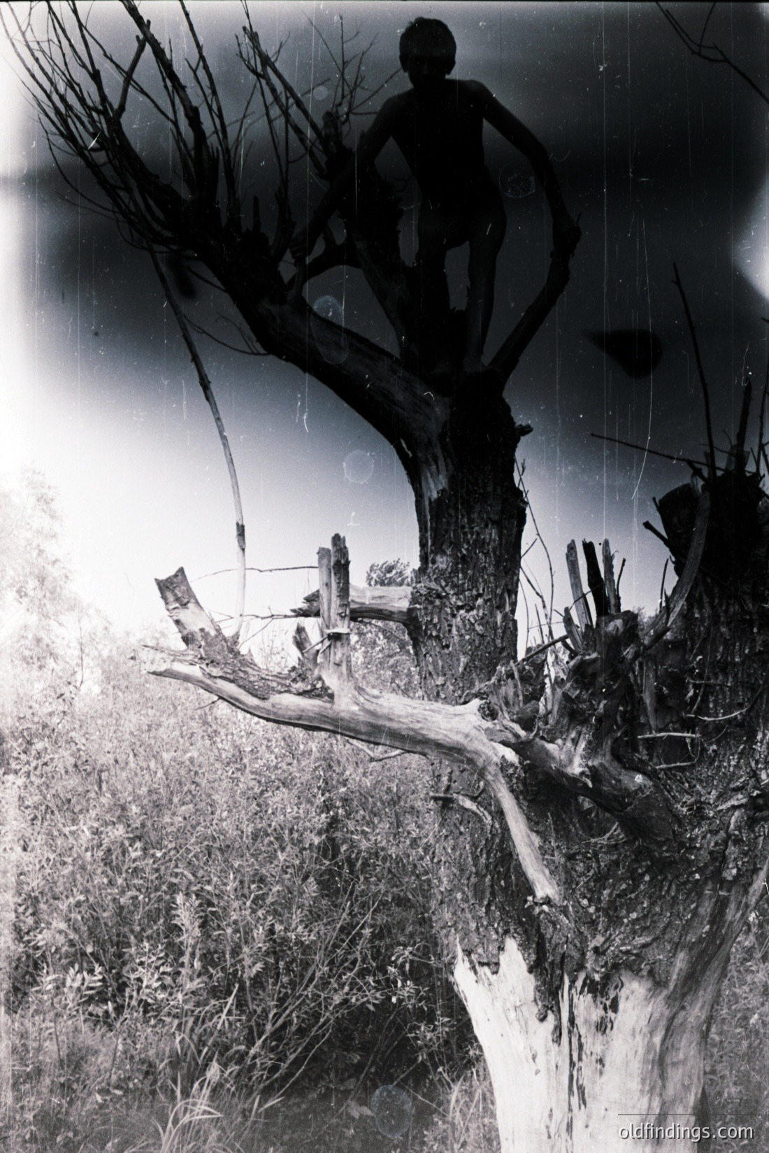 Vintage photograph