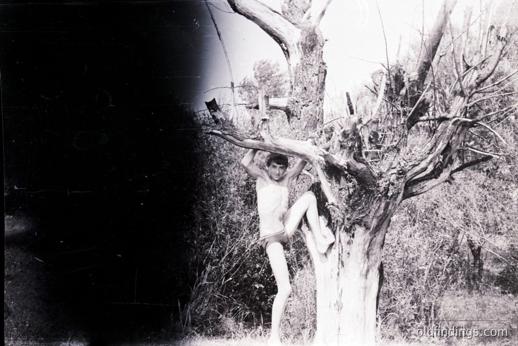 Vintage photograph