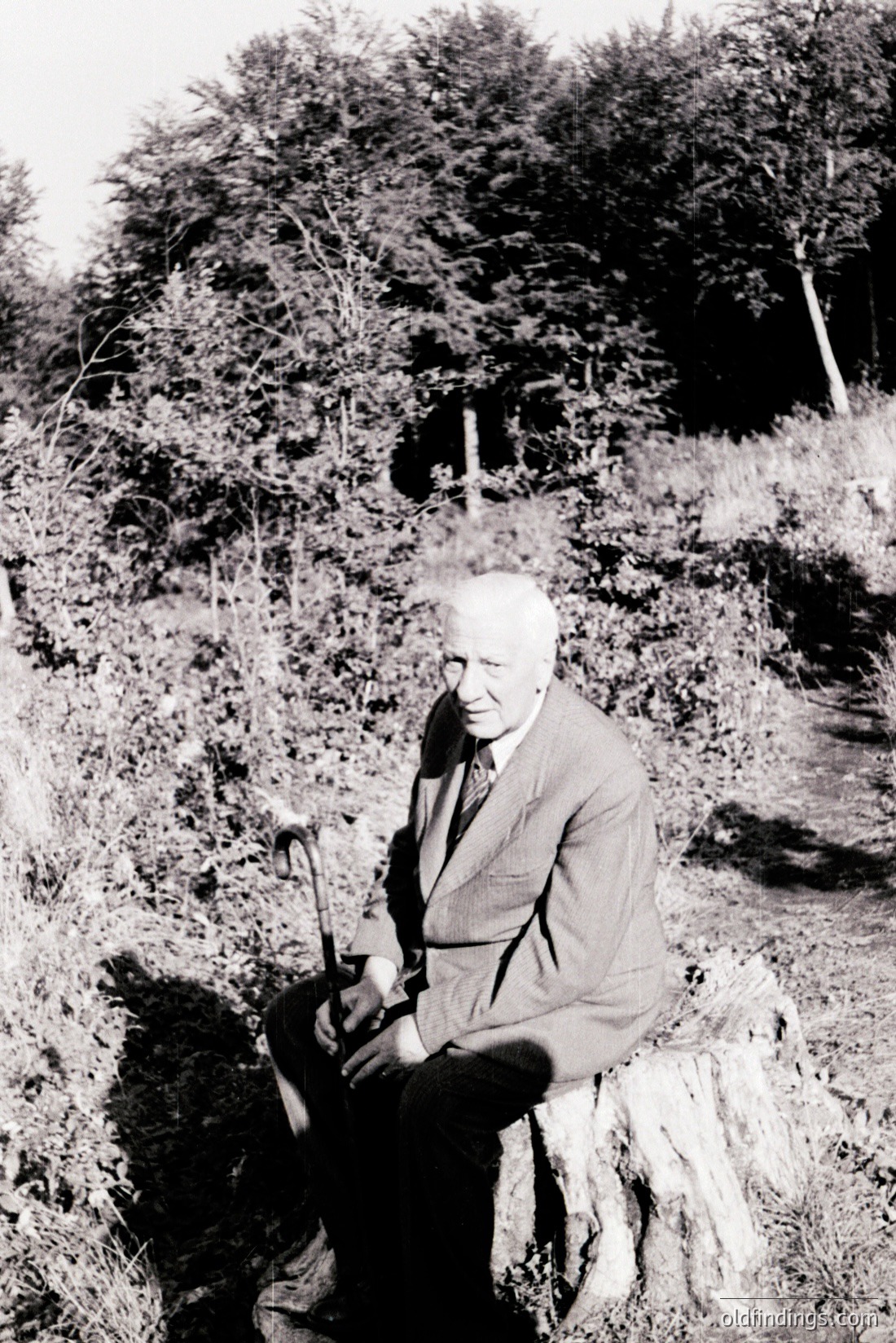 Vintage photograph