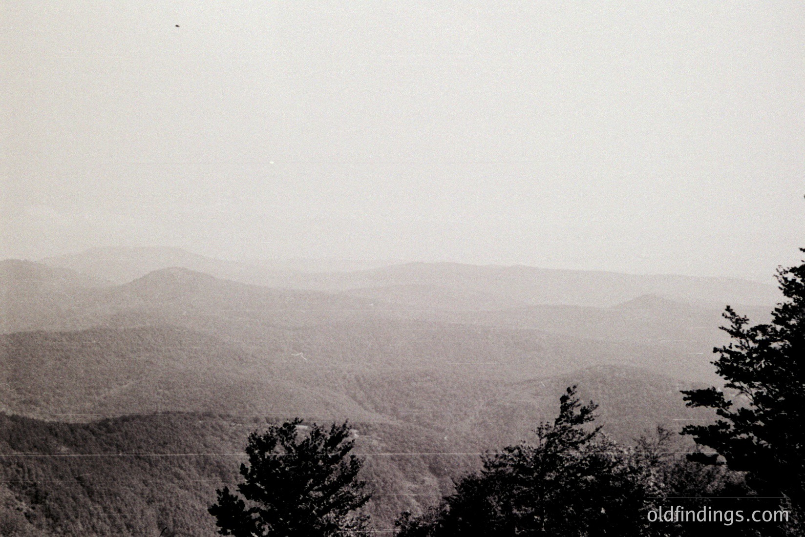 Vintage photograph