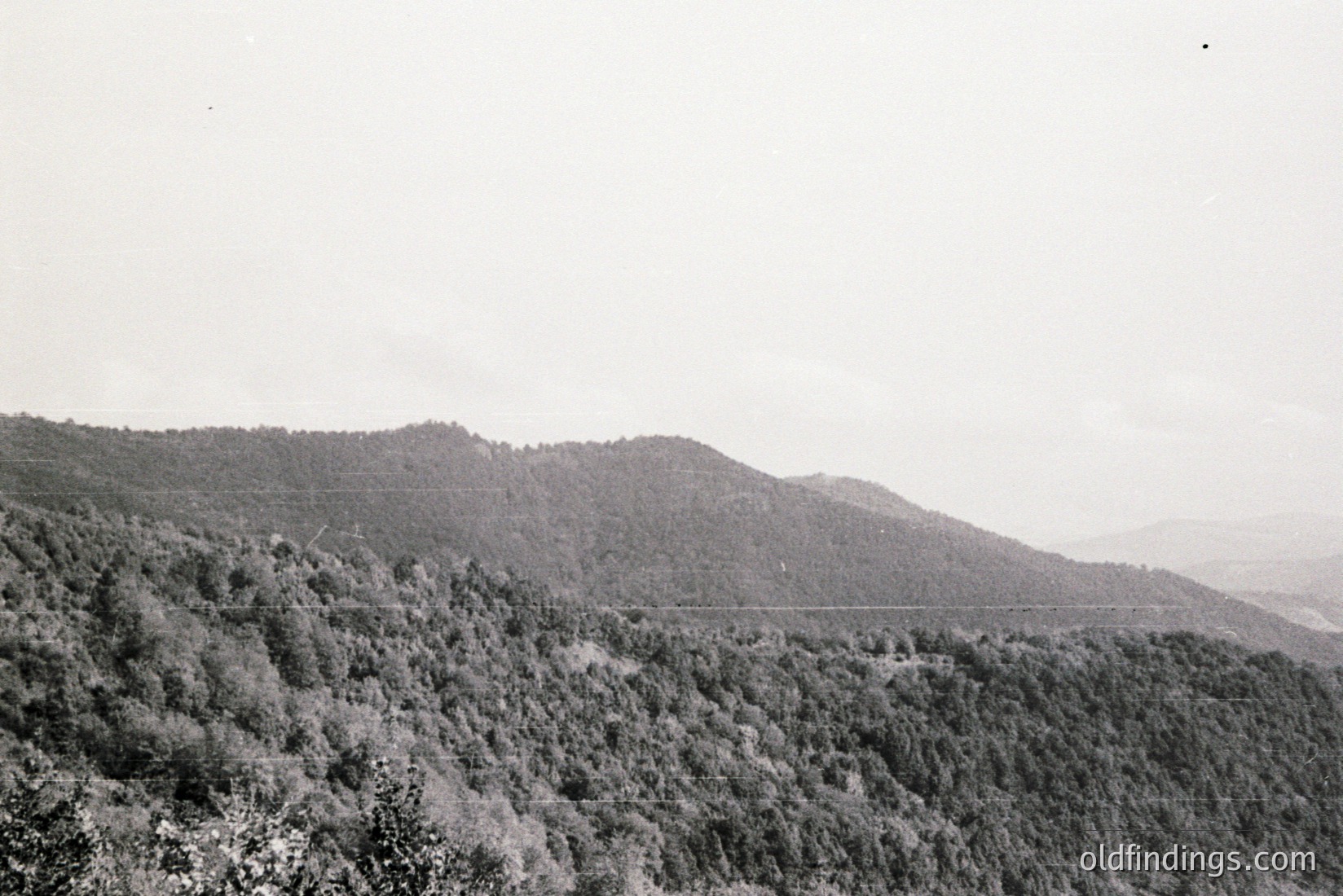 Vintage photograph