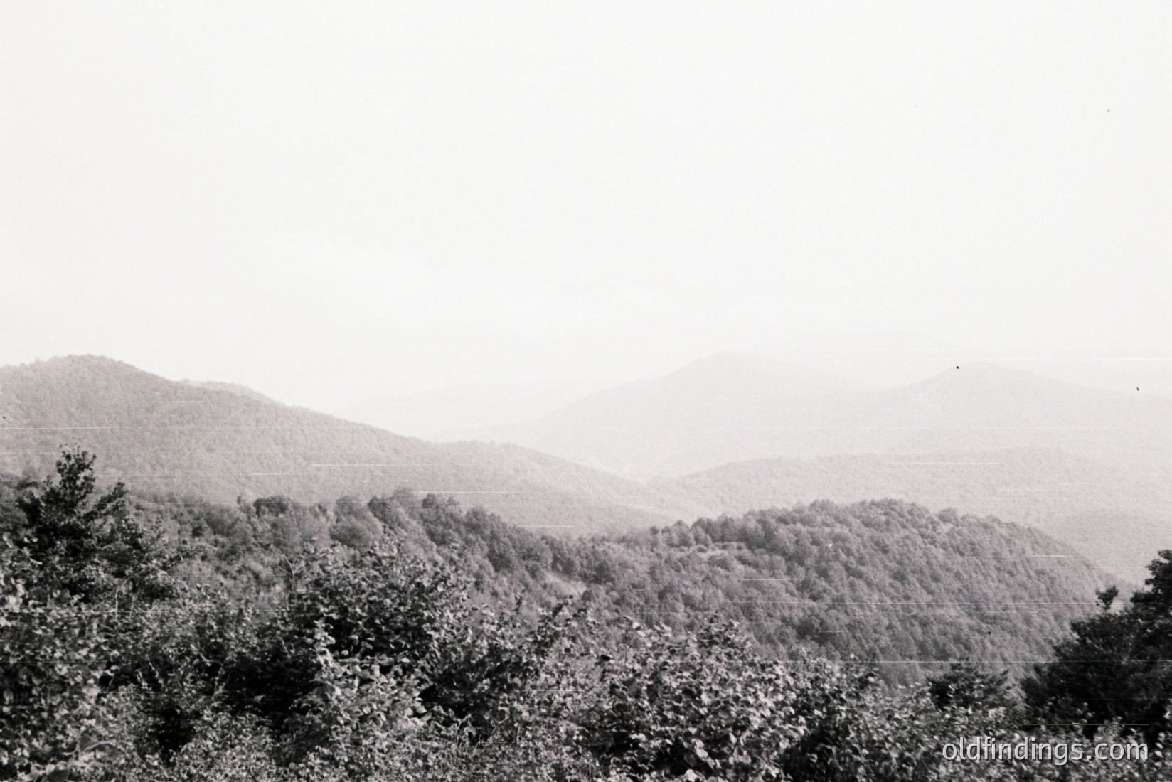 Vintage photograph
