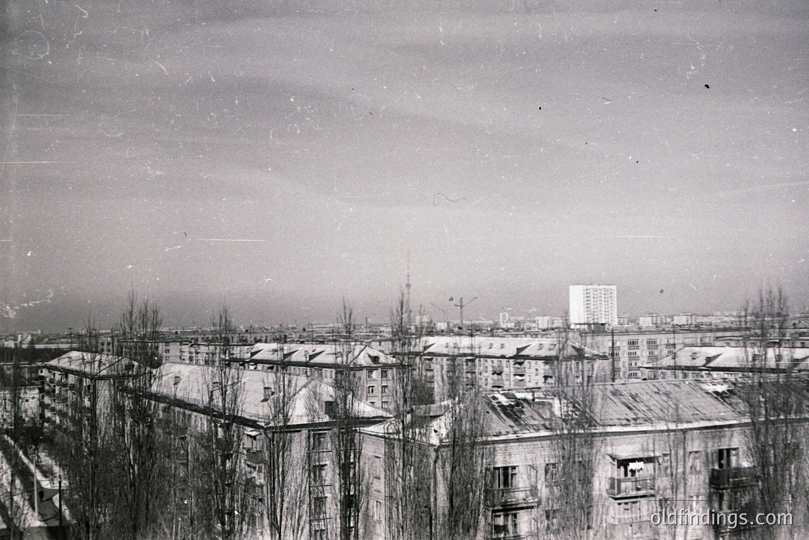 Vintage photograph
