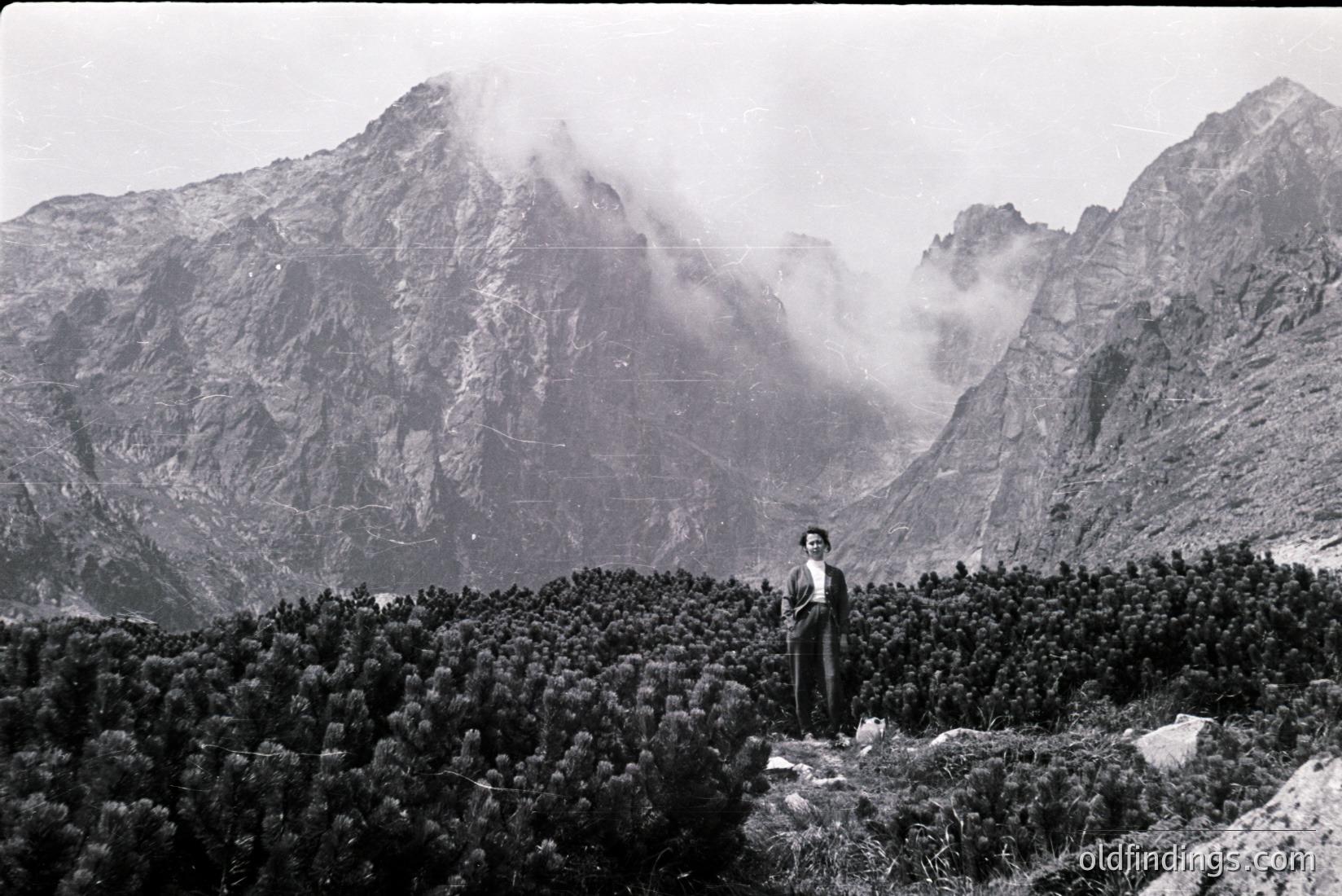Vintage photograph