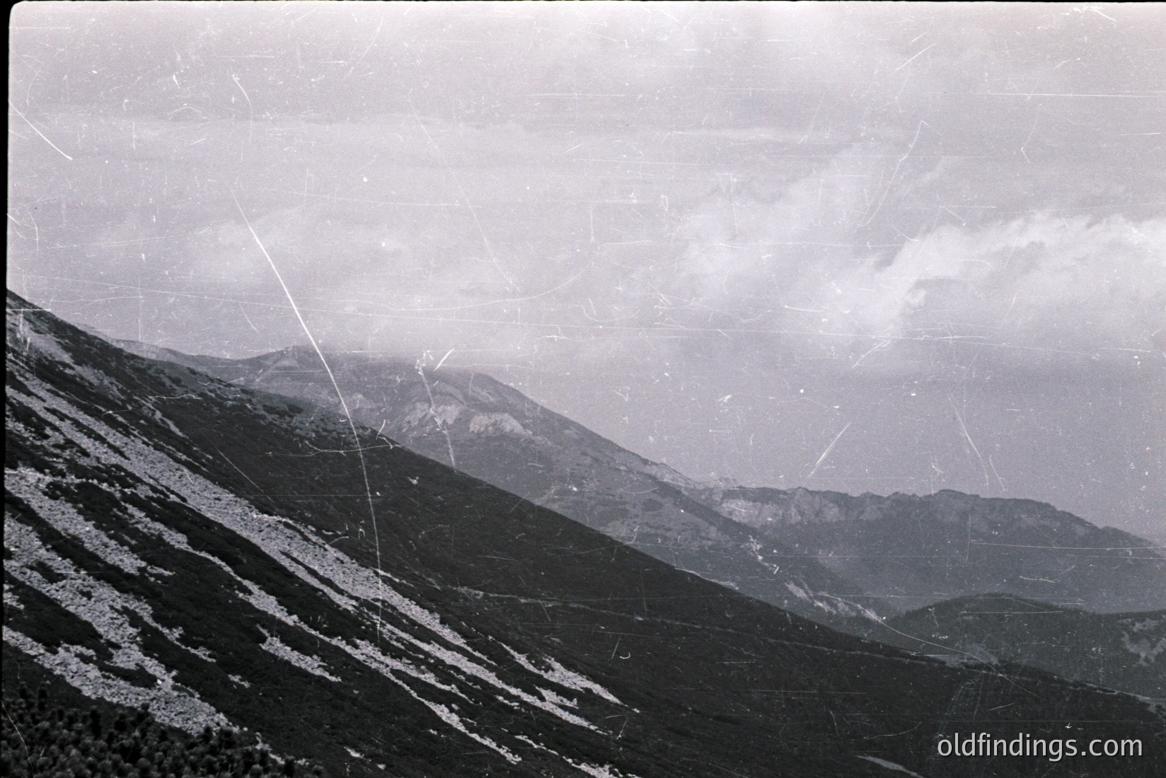 Vintage photograph