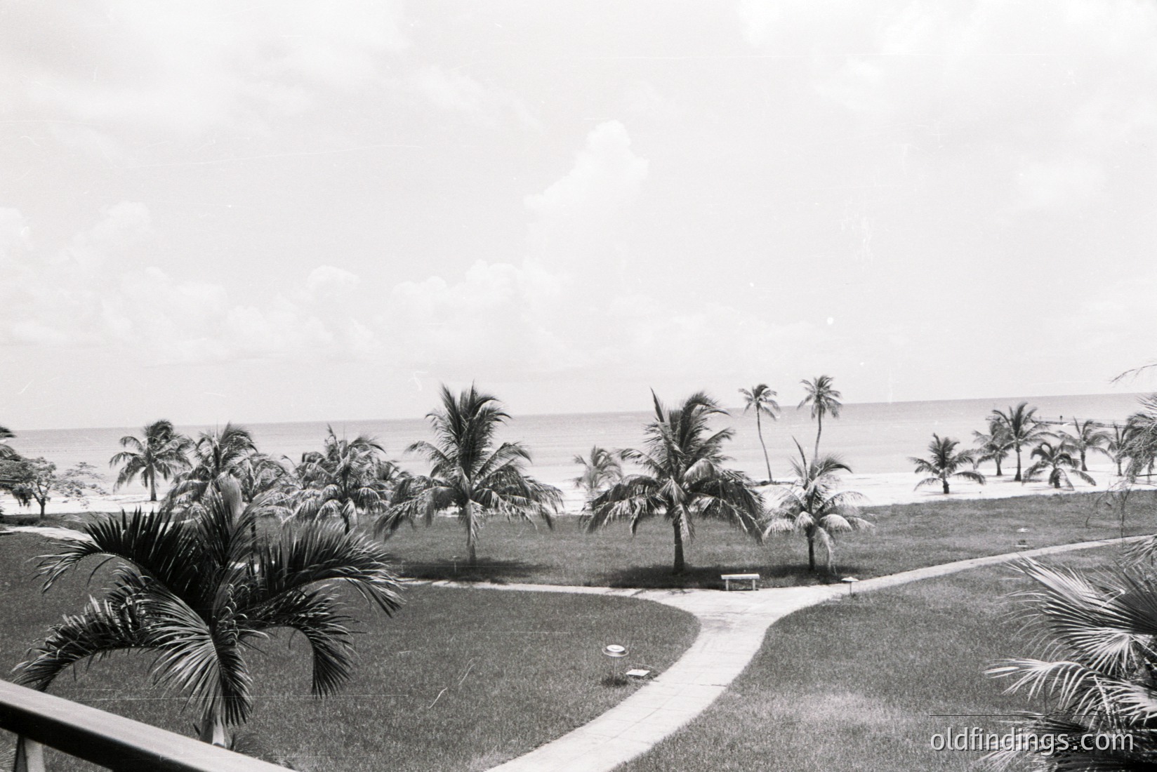 Vintage photograph