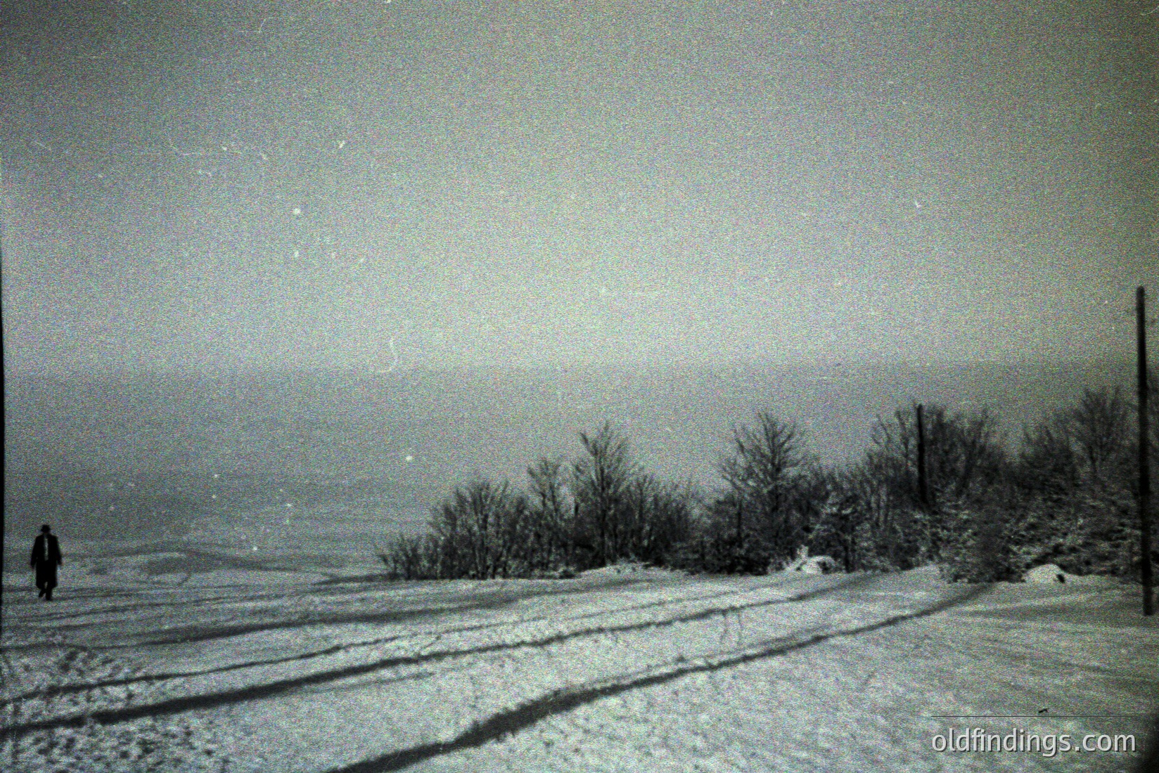Vintage photograph