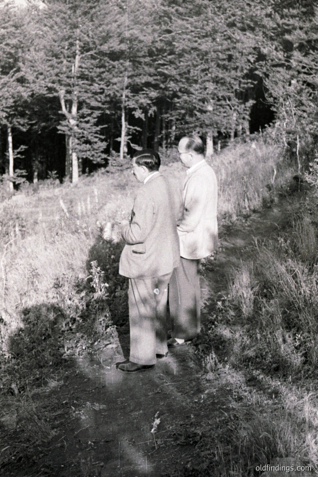 Vintage photograph