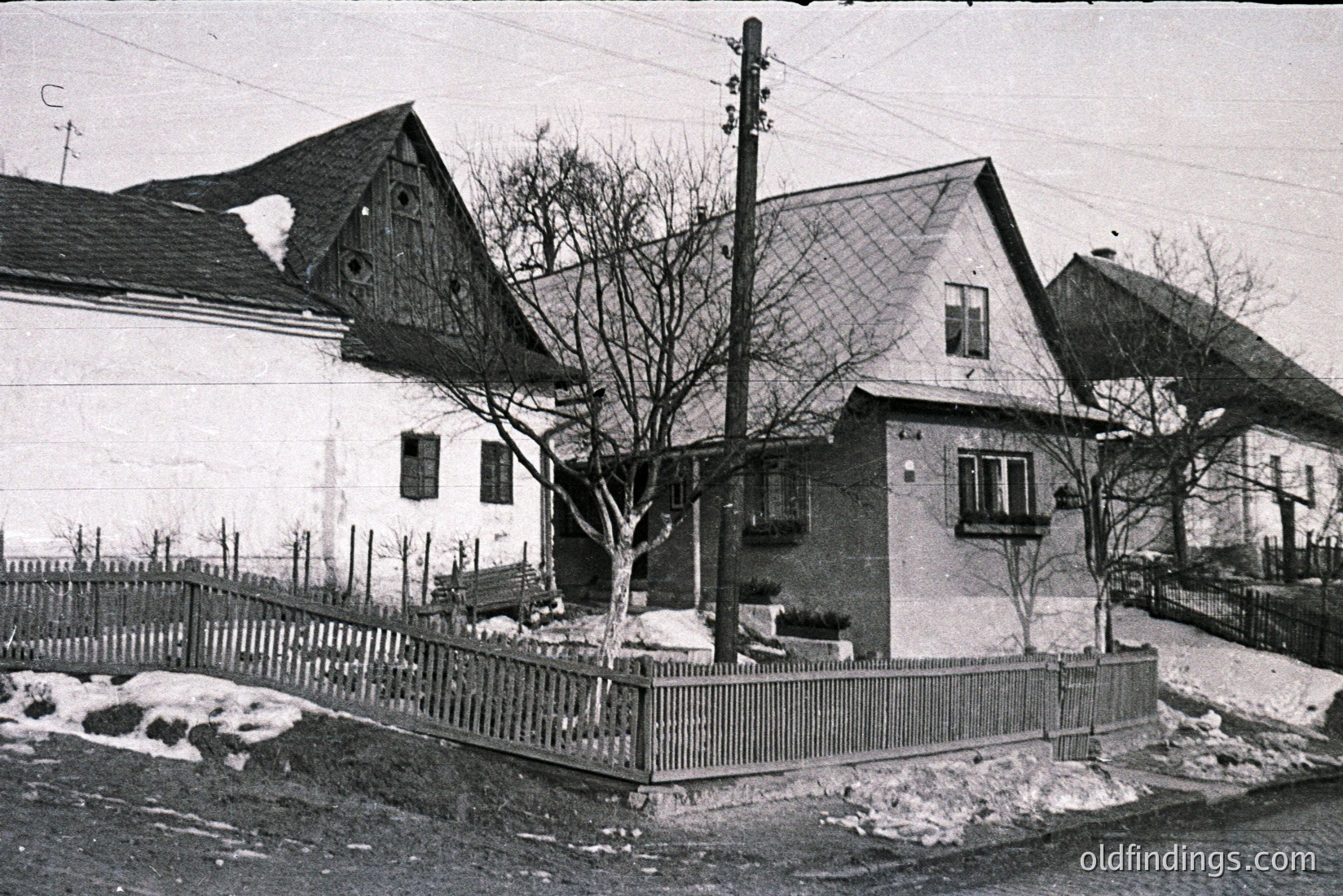 Vintage photograph