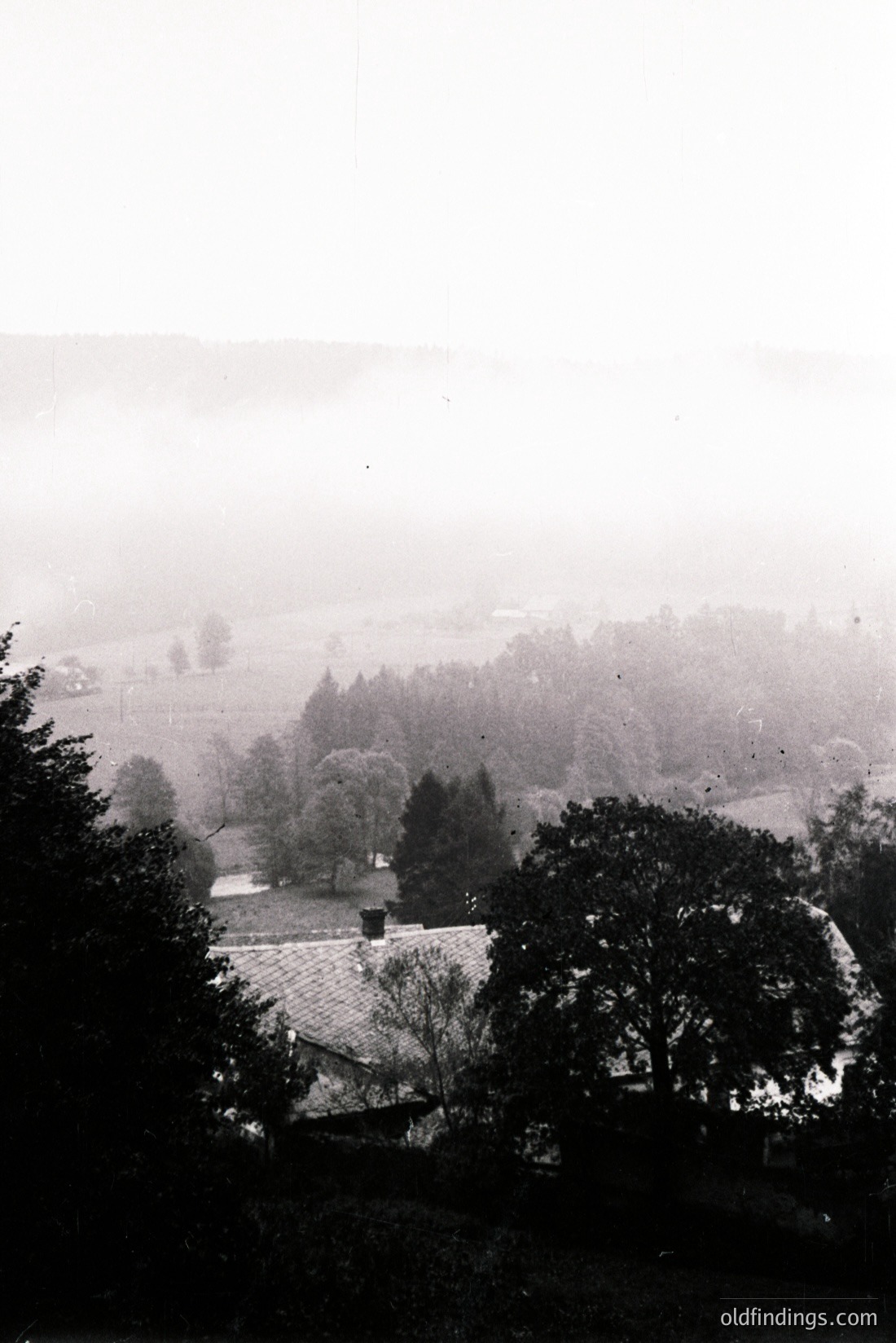 Vintage photograph