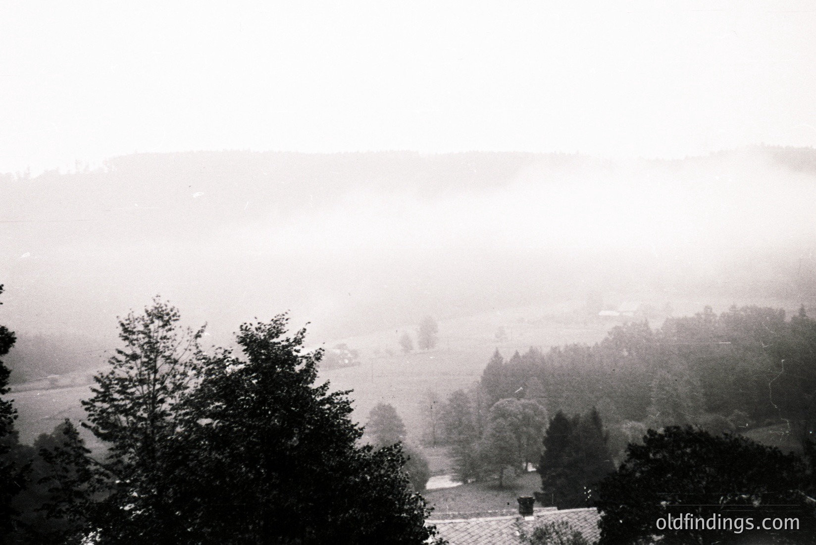 Vintage photograph