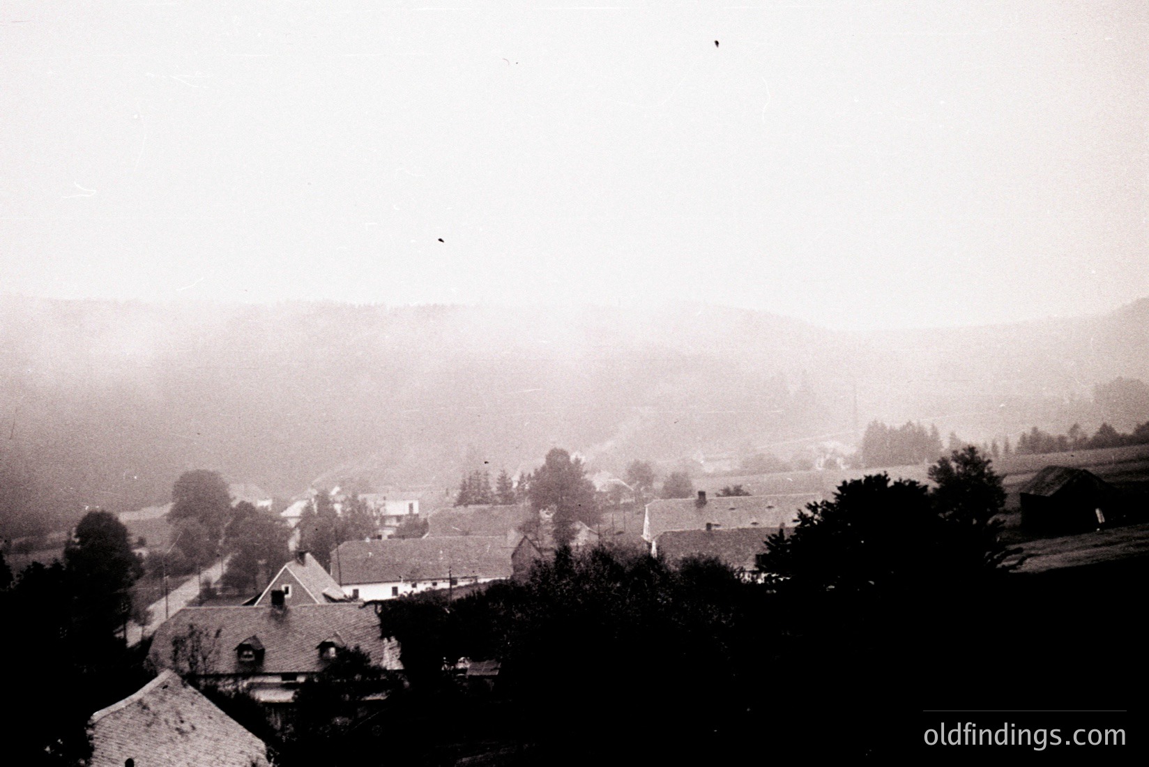 Vintage photograph