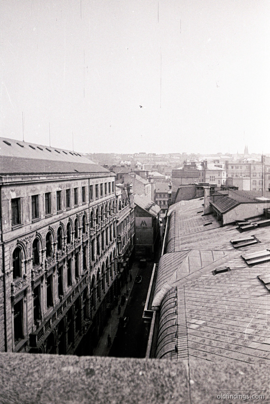 Vintage photograph