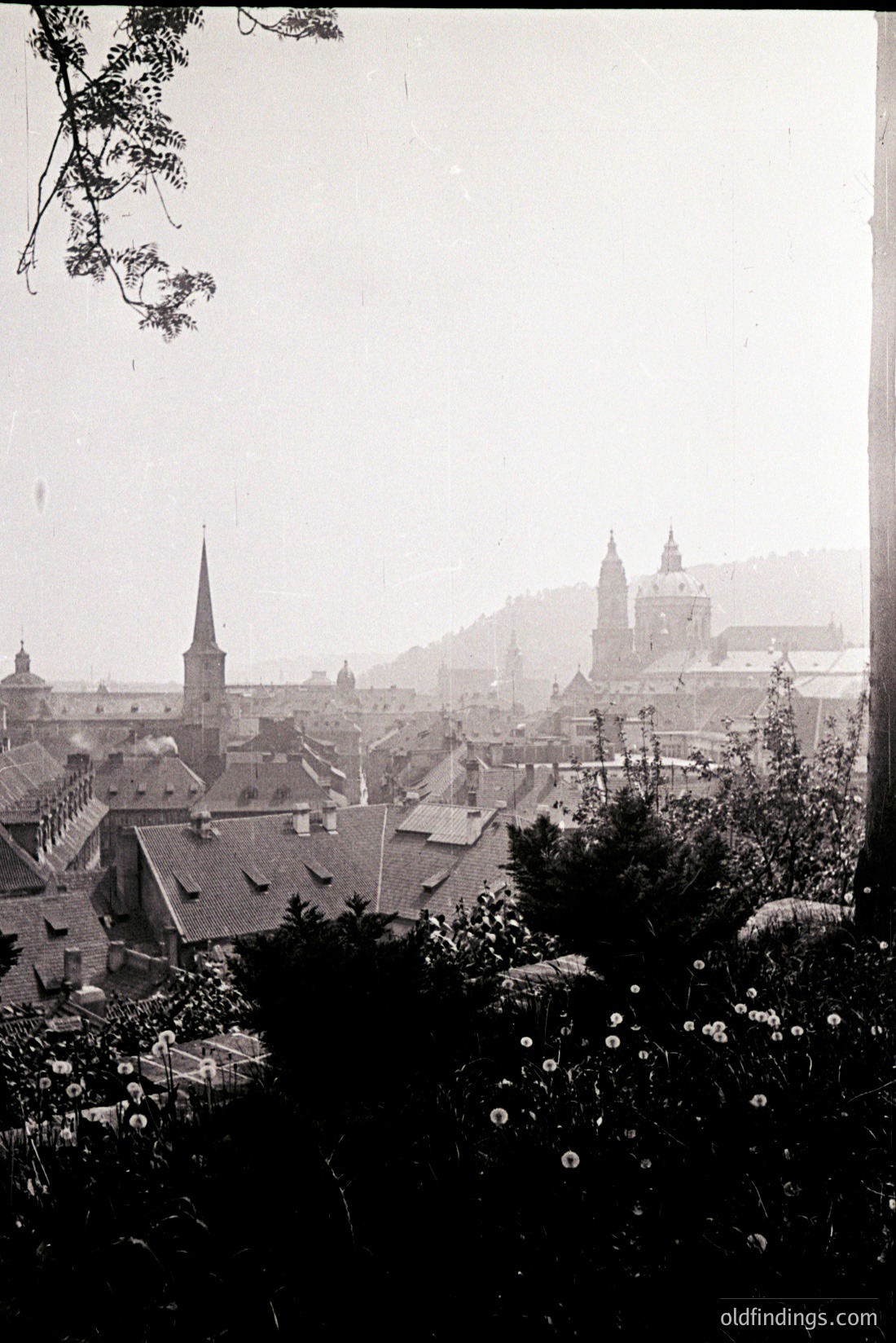 Vintage photograph