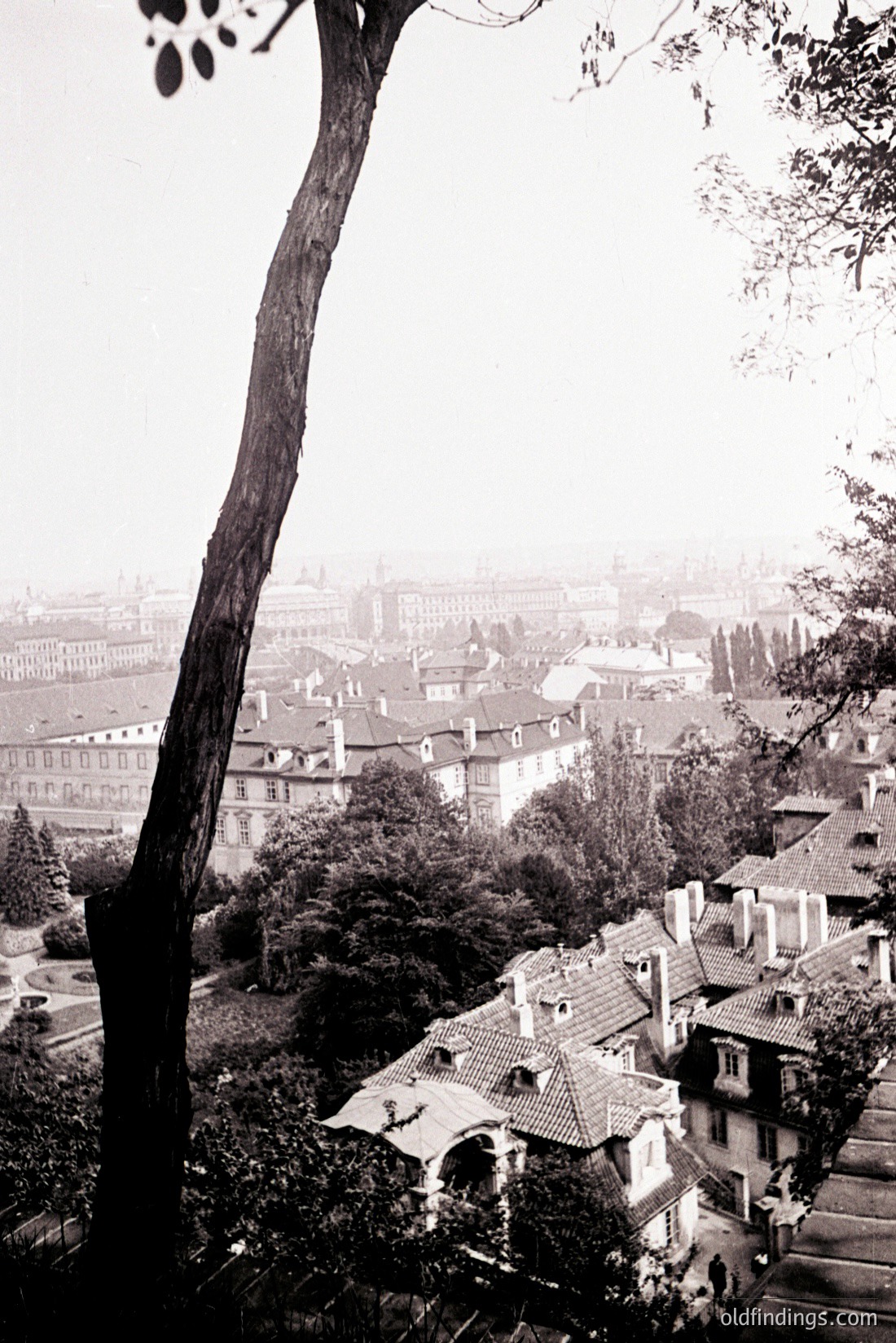 Vintage photograph