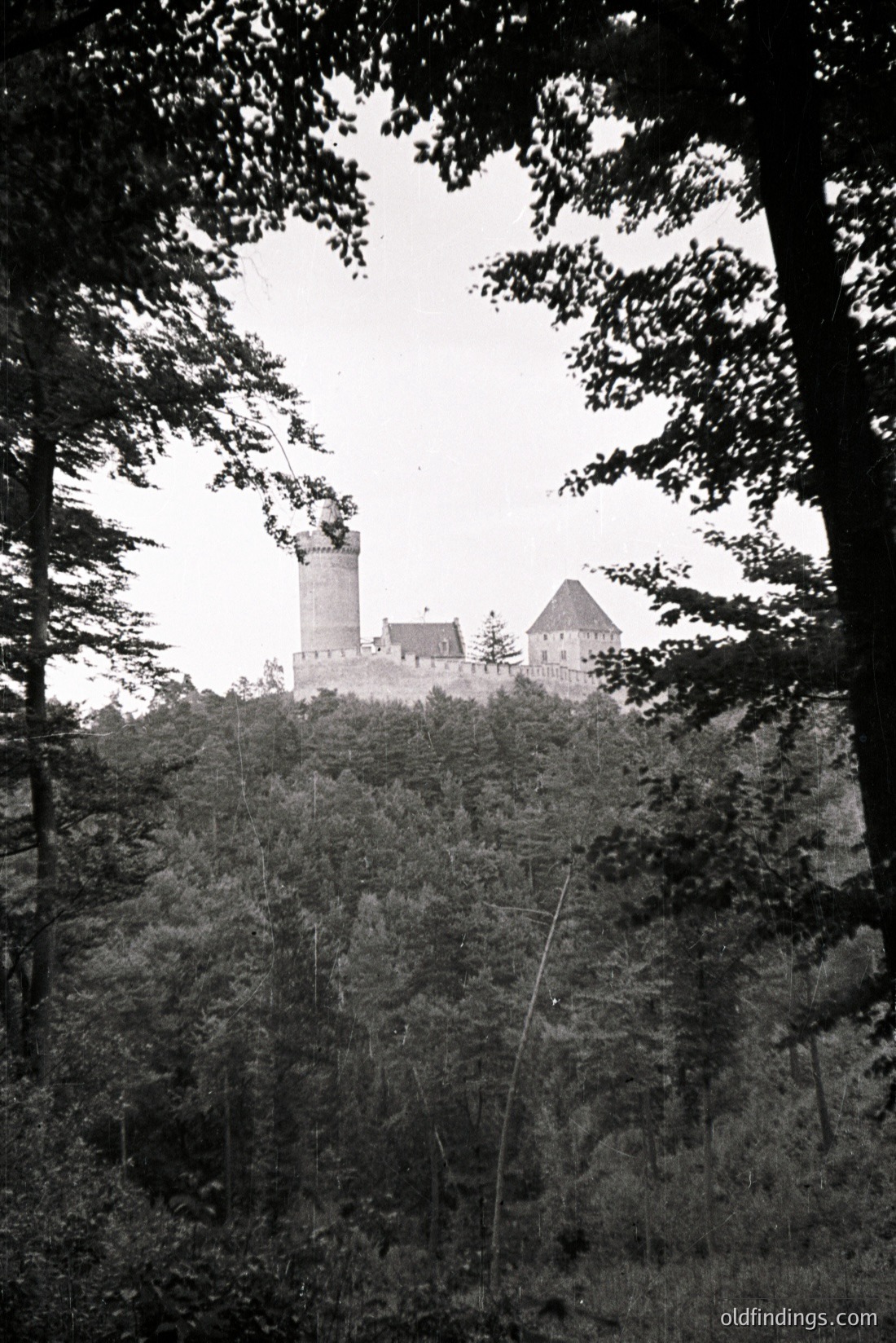 Vintage photograph