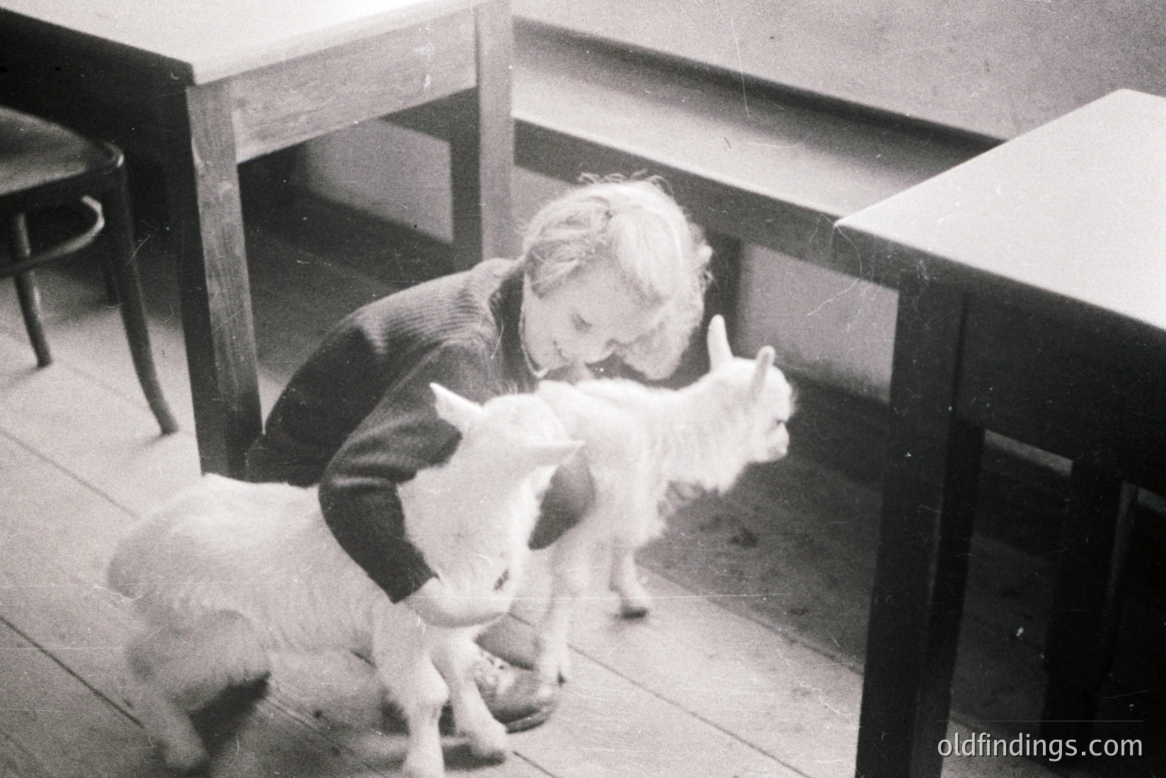 Vintage photograph