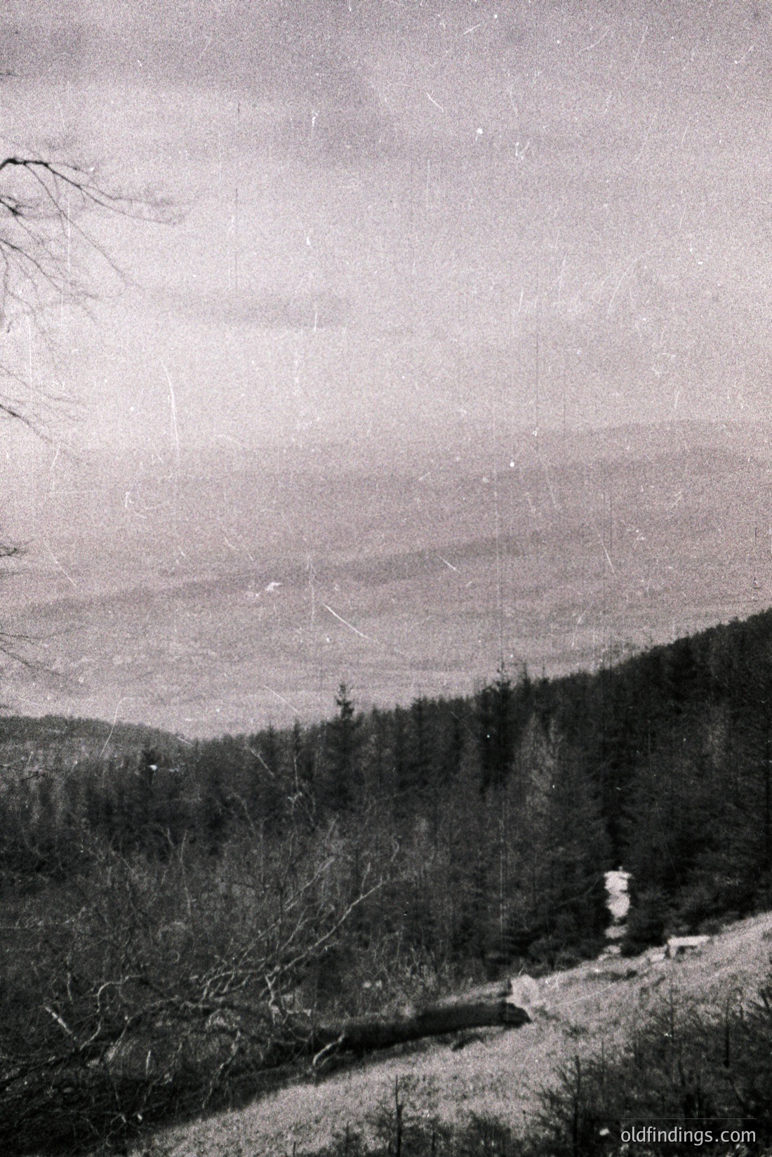 Vintage photograph