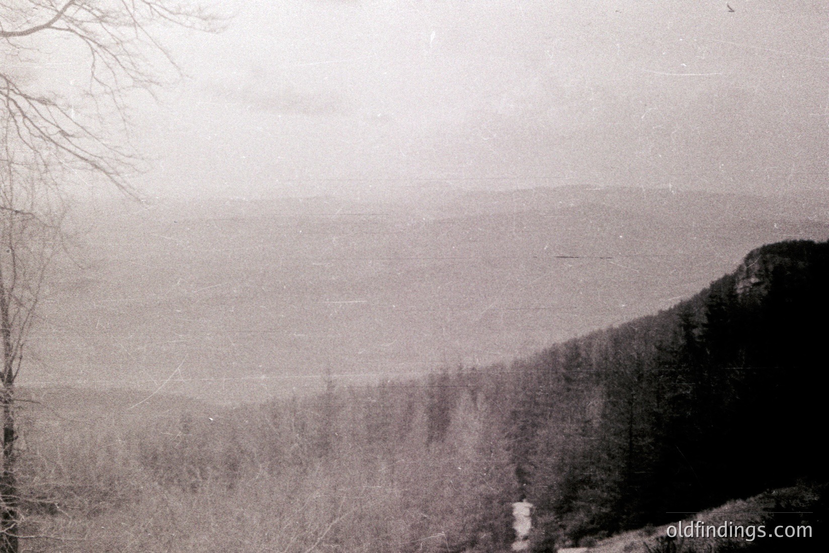 Vintage photograph