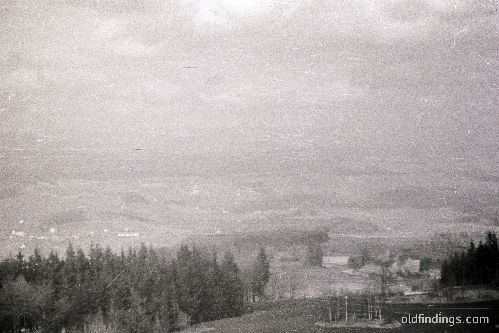 Vintage photograph