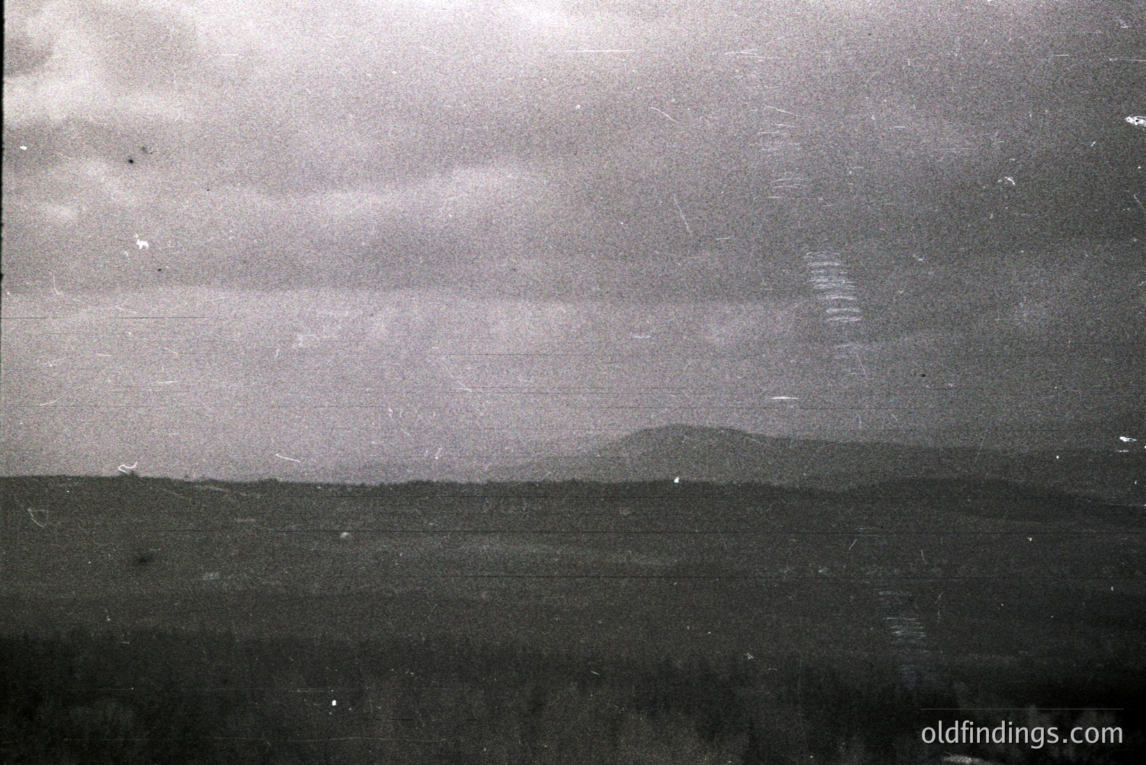 Vintage photograph