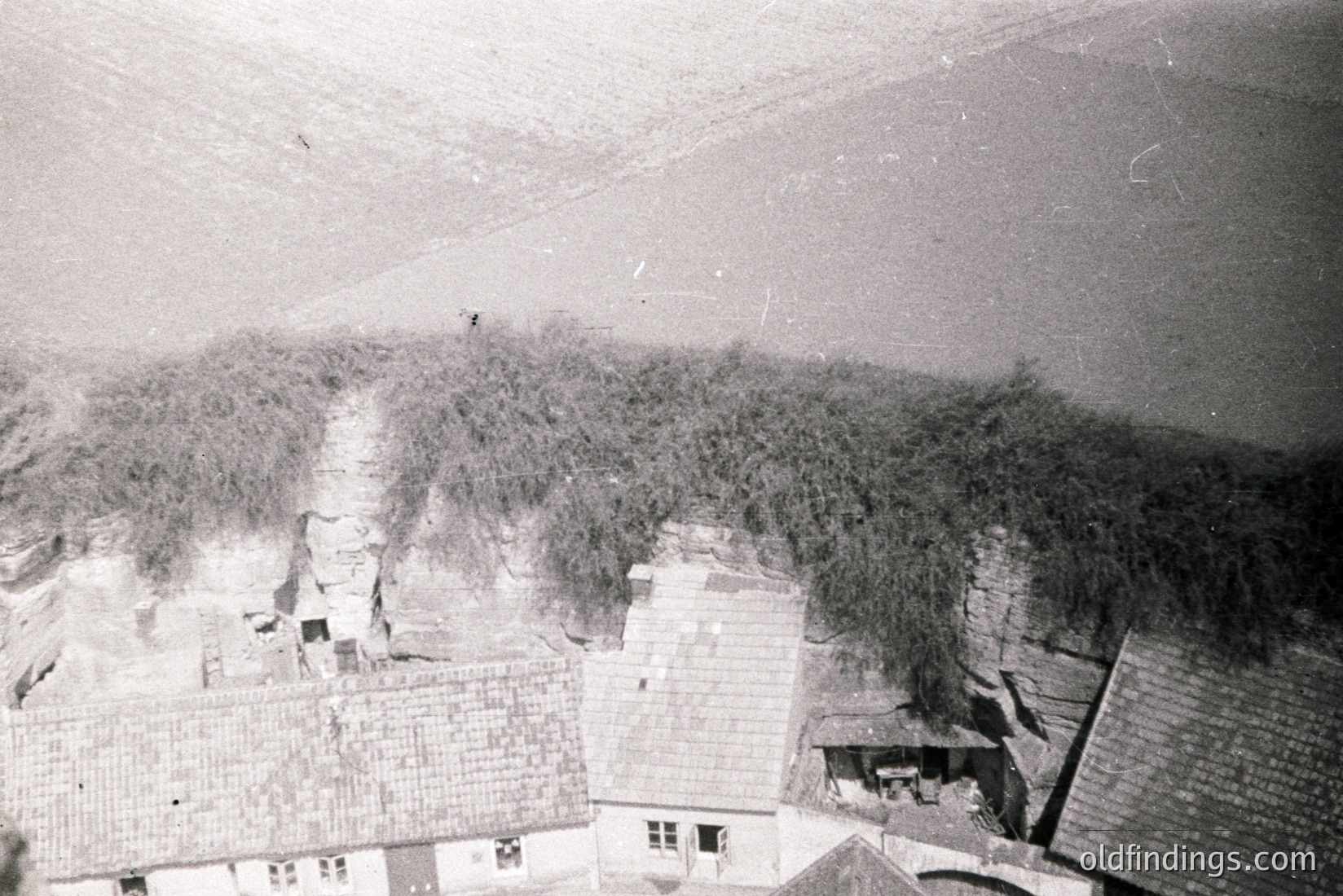 Vintage photograph