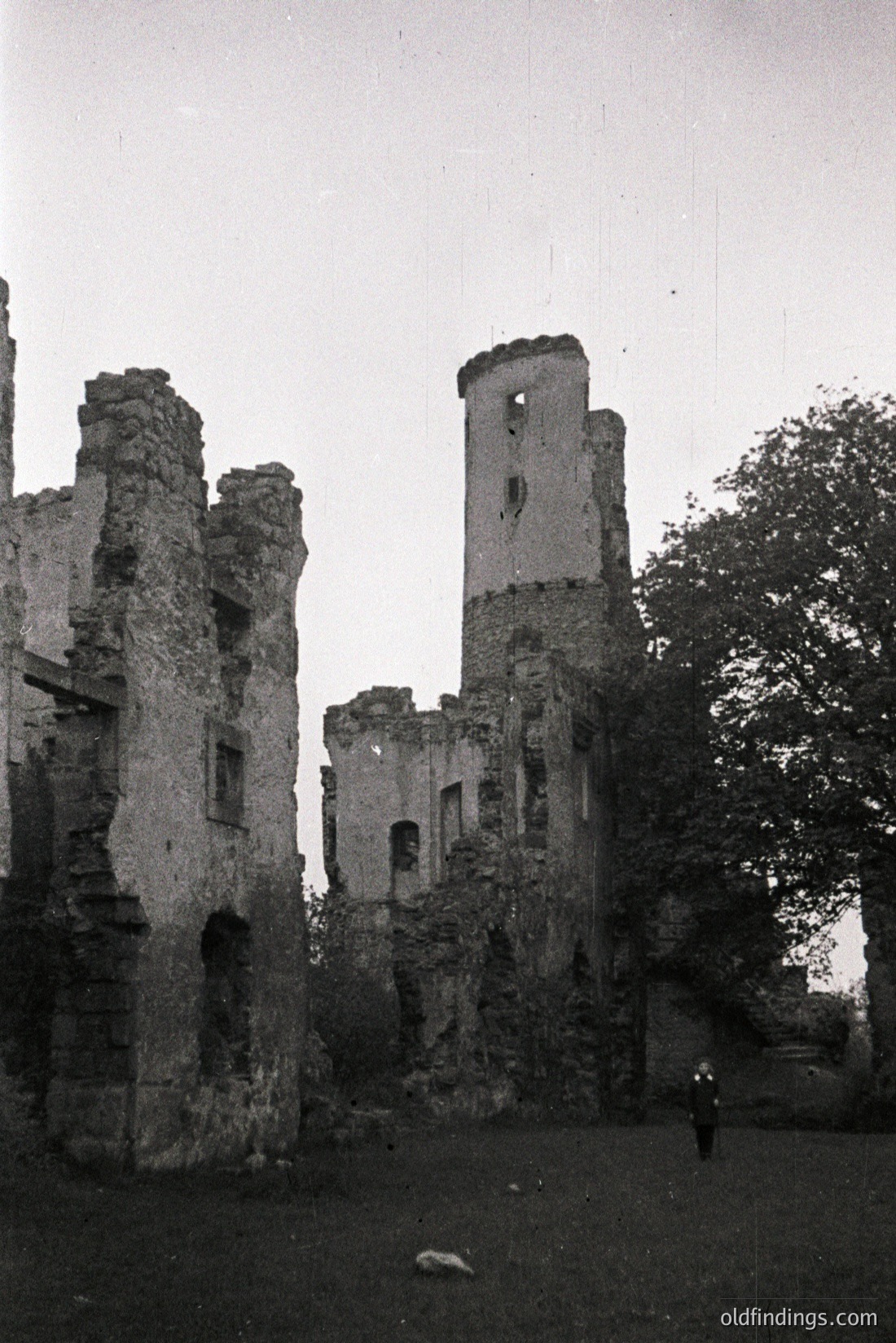 Vintage photograph