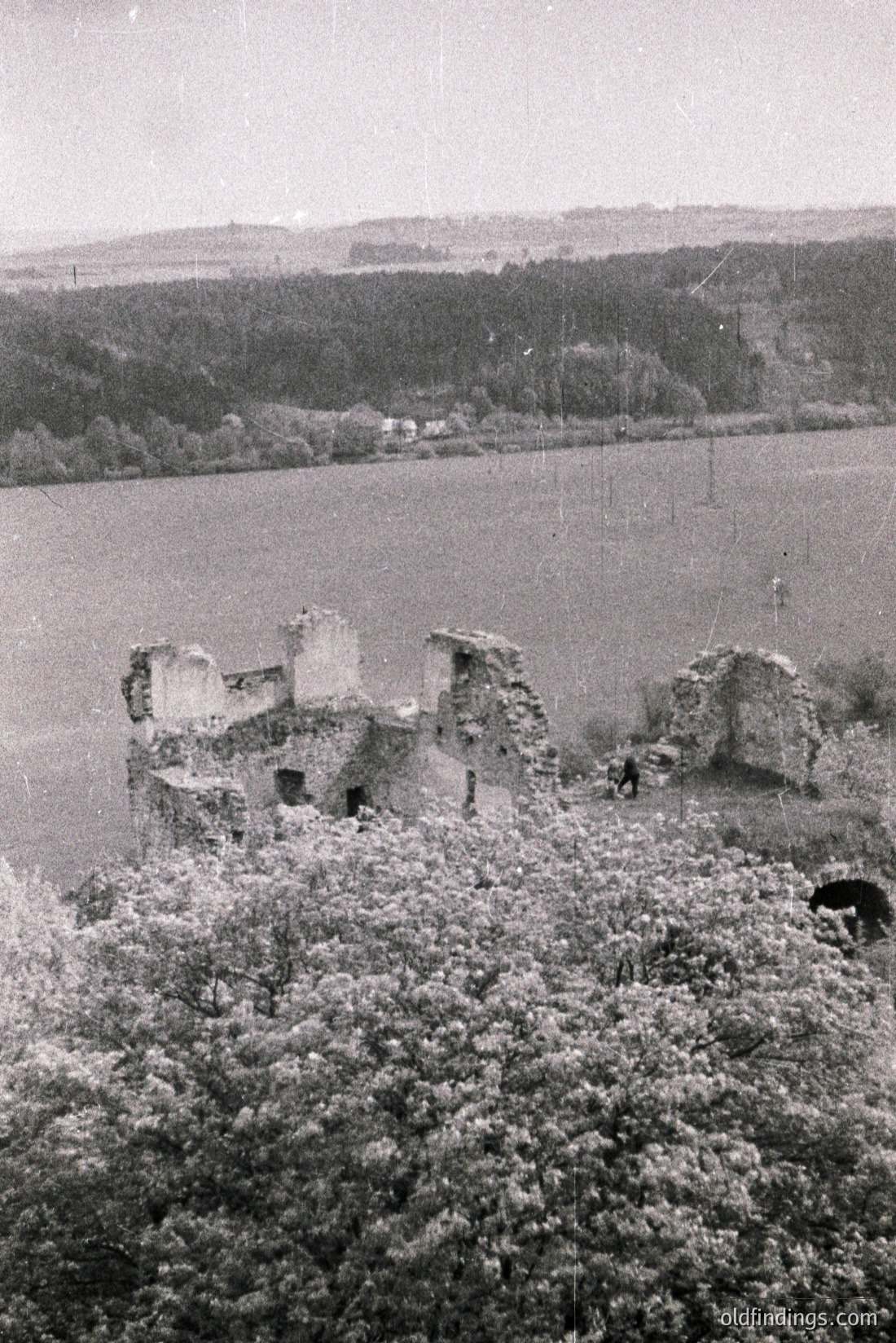 Vintage photograph