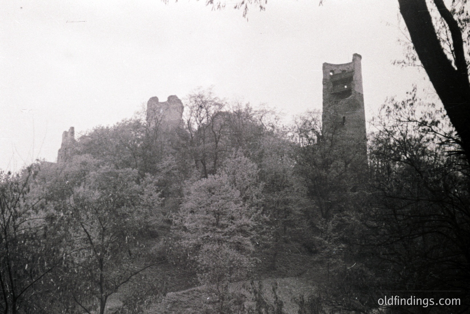 Vintage photograph