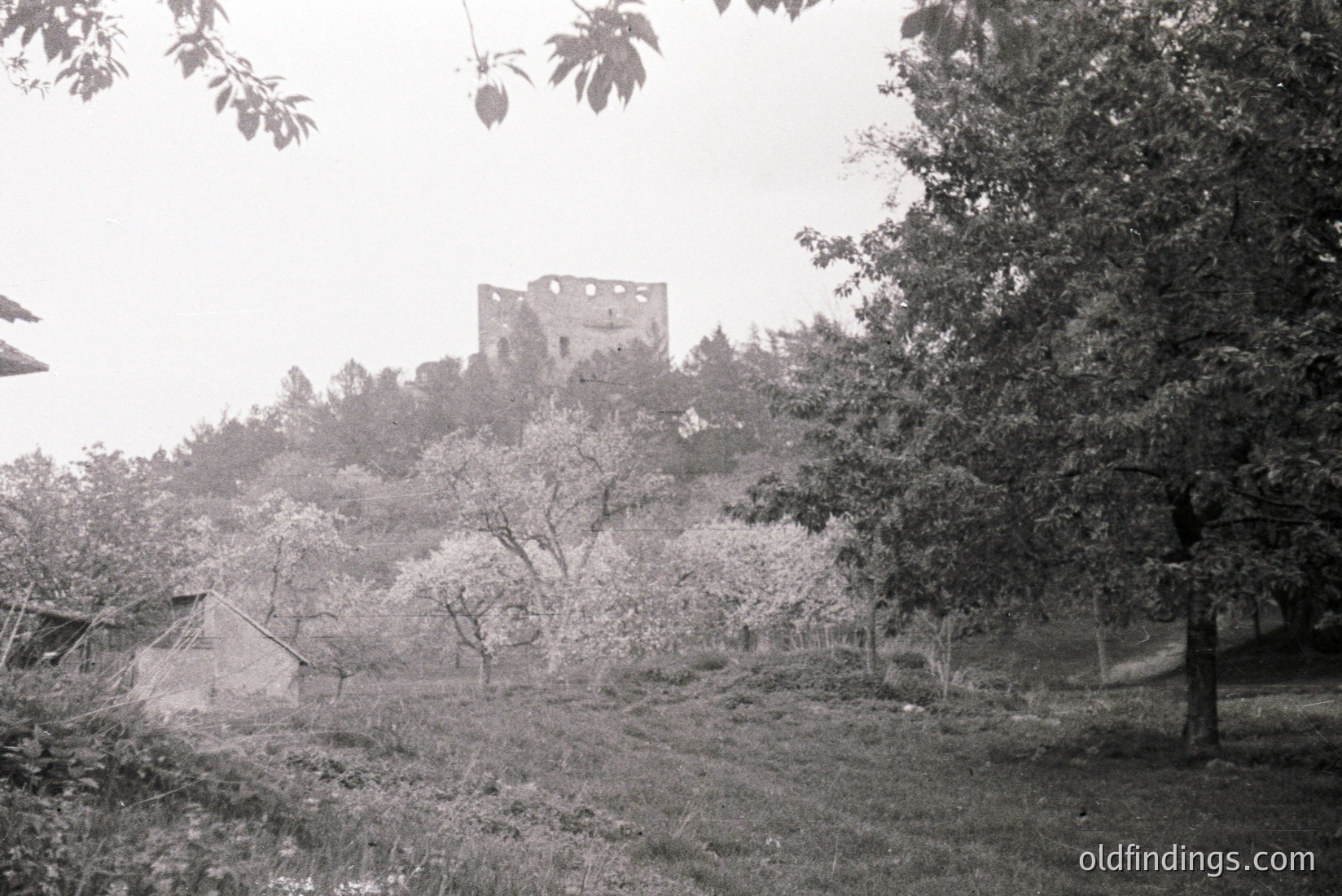 Vintage photograph