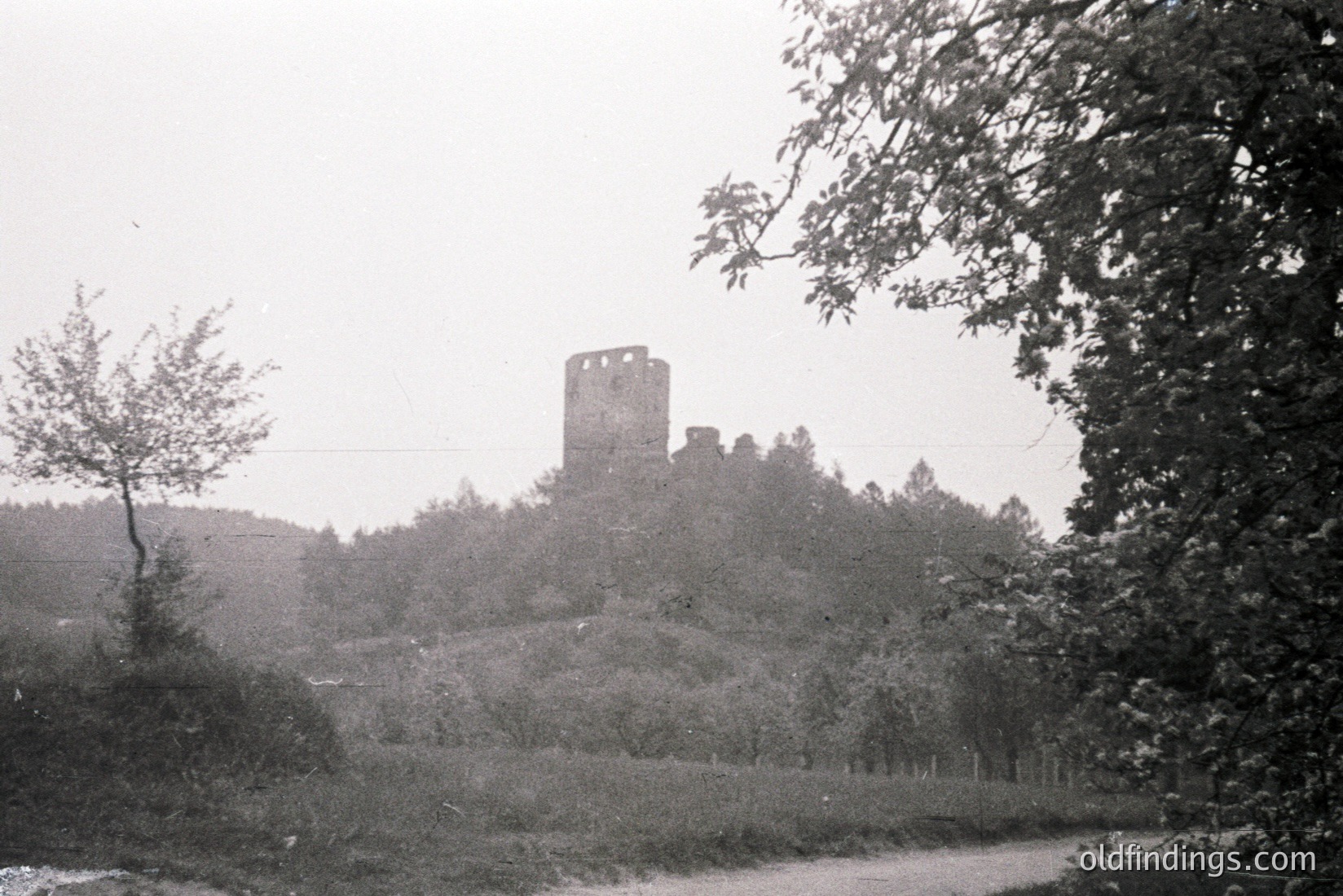 Vintage photograph