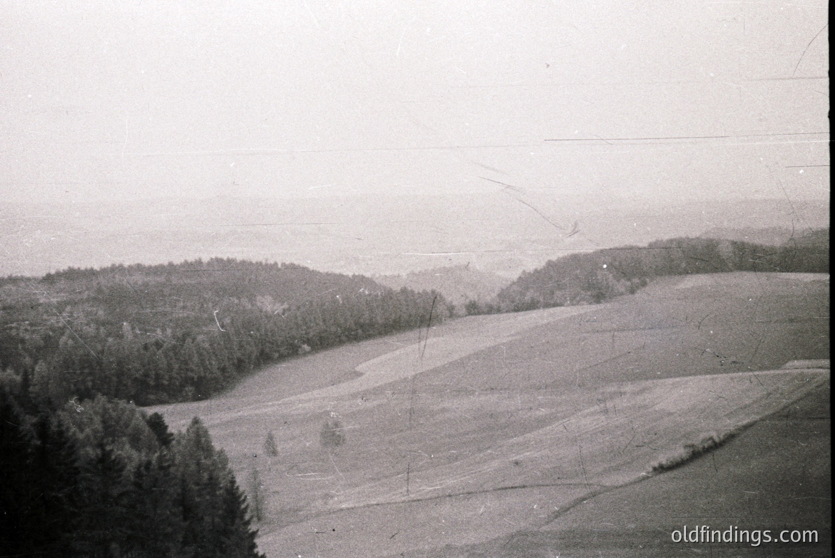 Vintage photograph