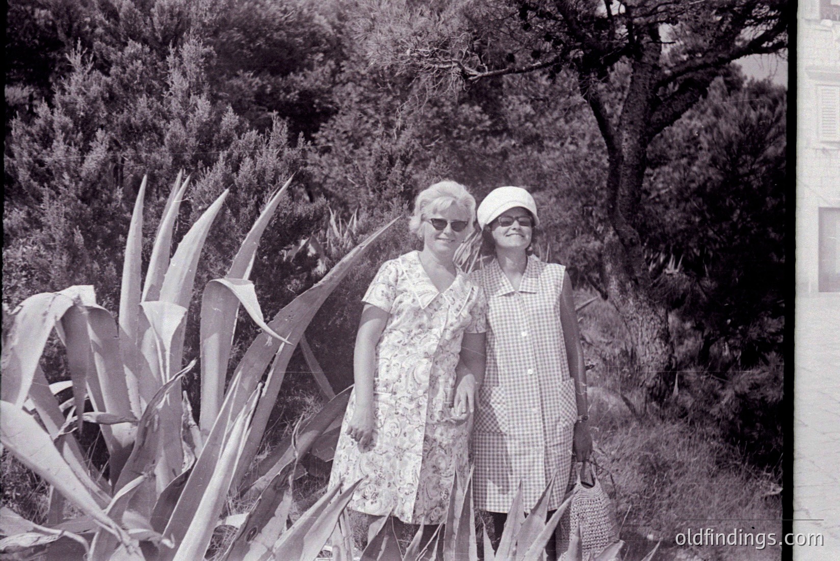 Vintage photograph
