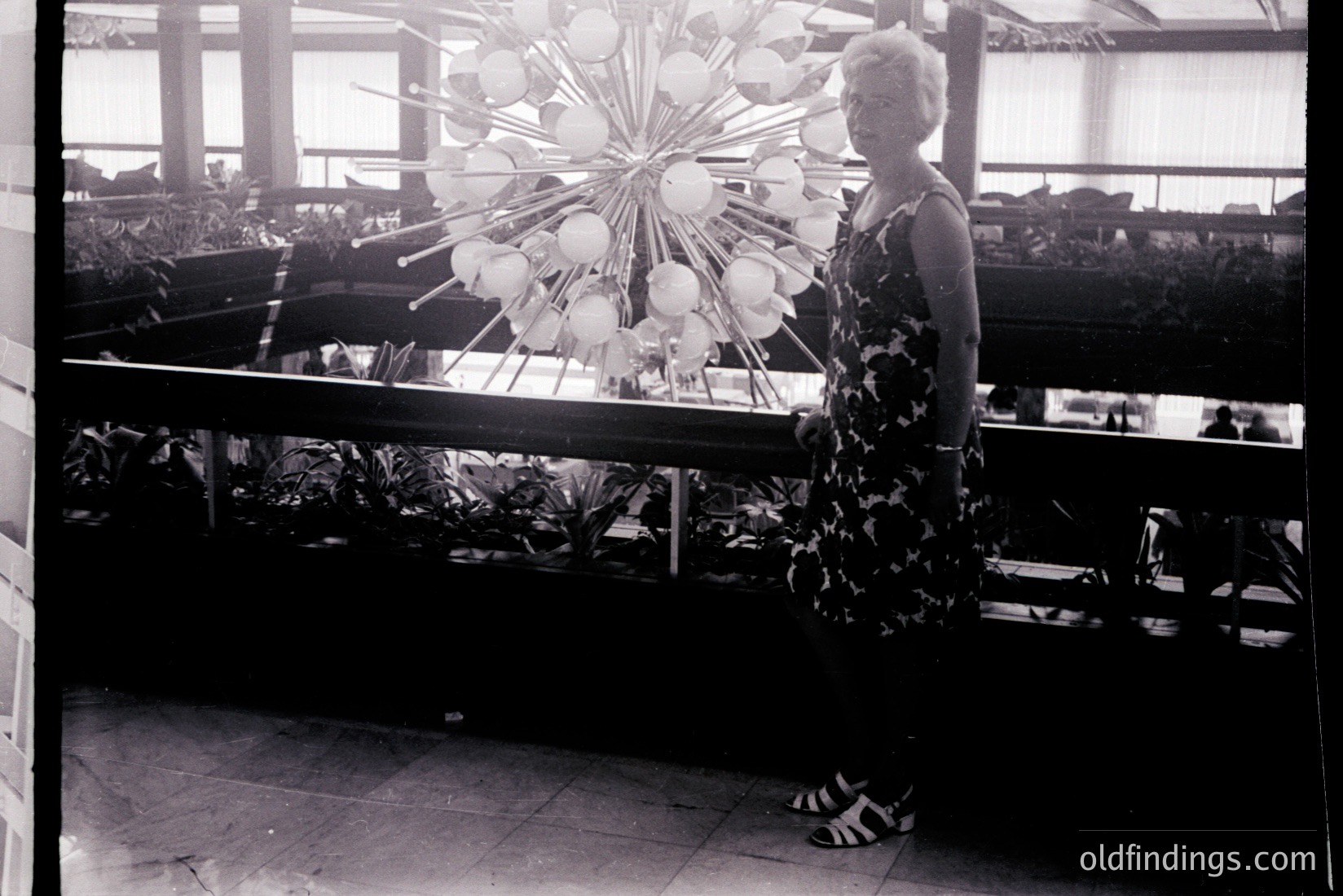 Vintage photograph