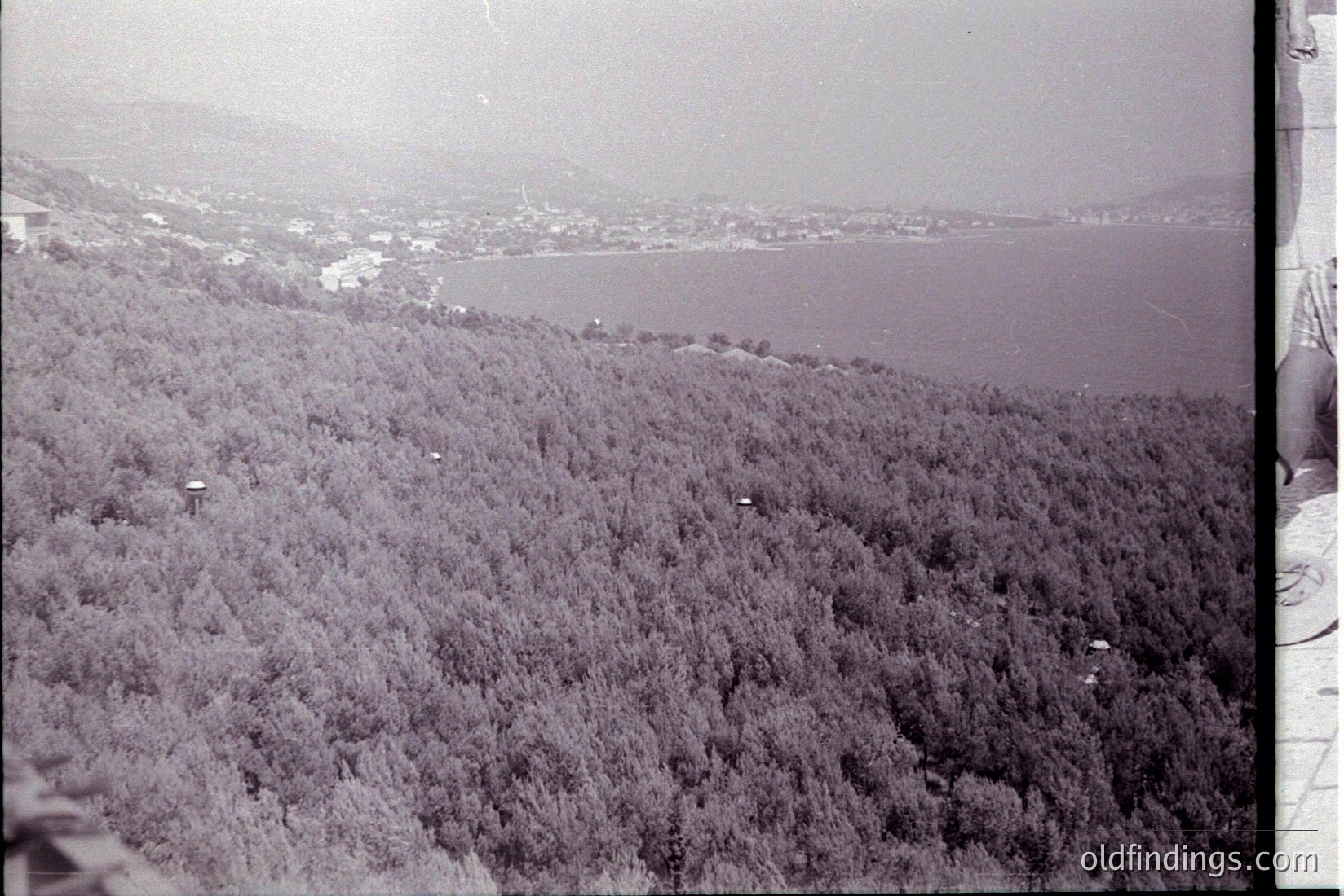 Vintage photograph