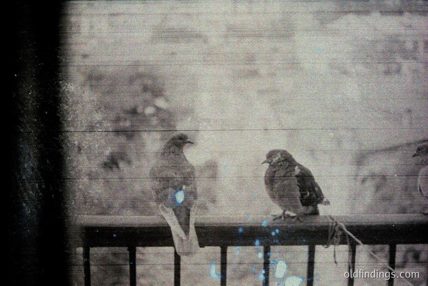 Vintage photograph