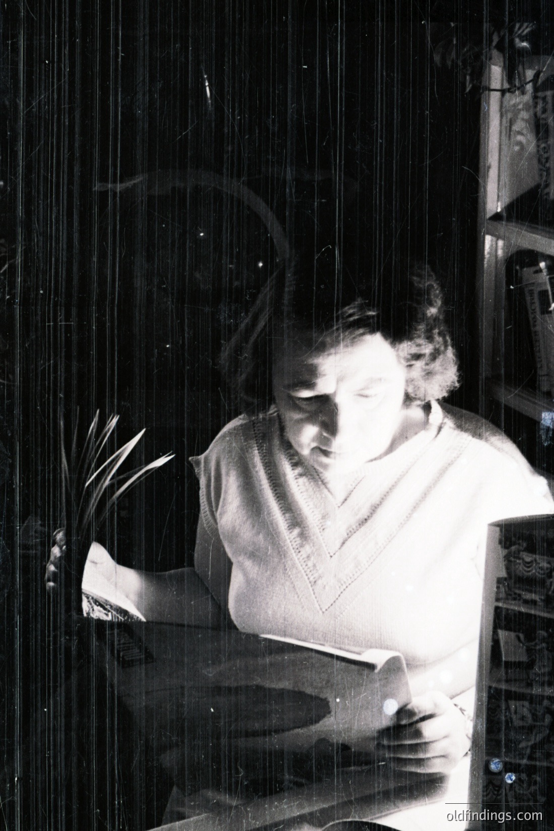 Vintage photograph