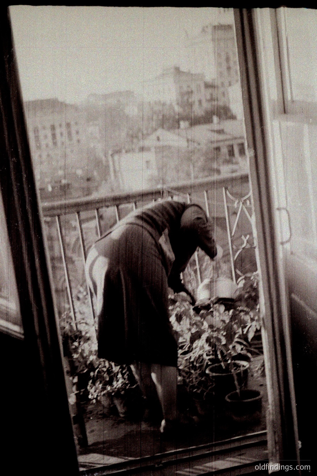 Vintage photograph