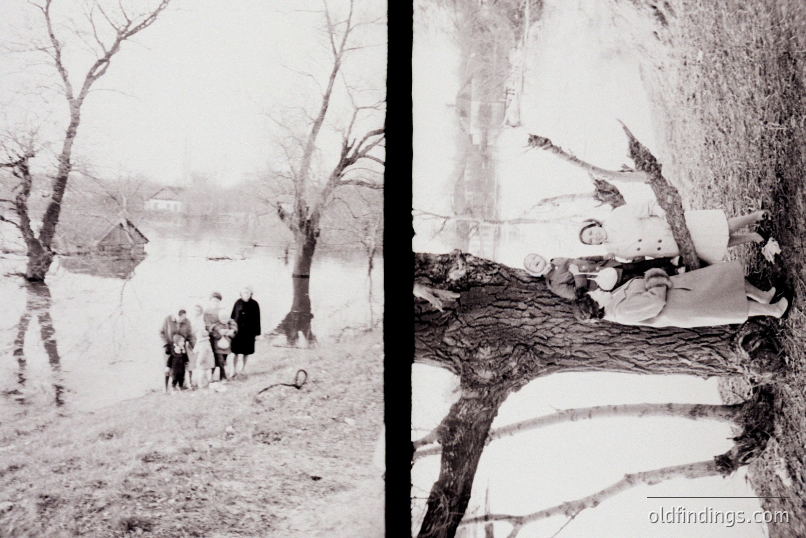 Vintage photograph
