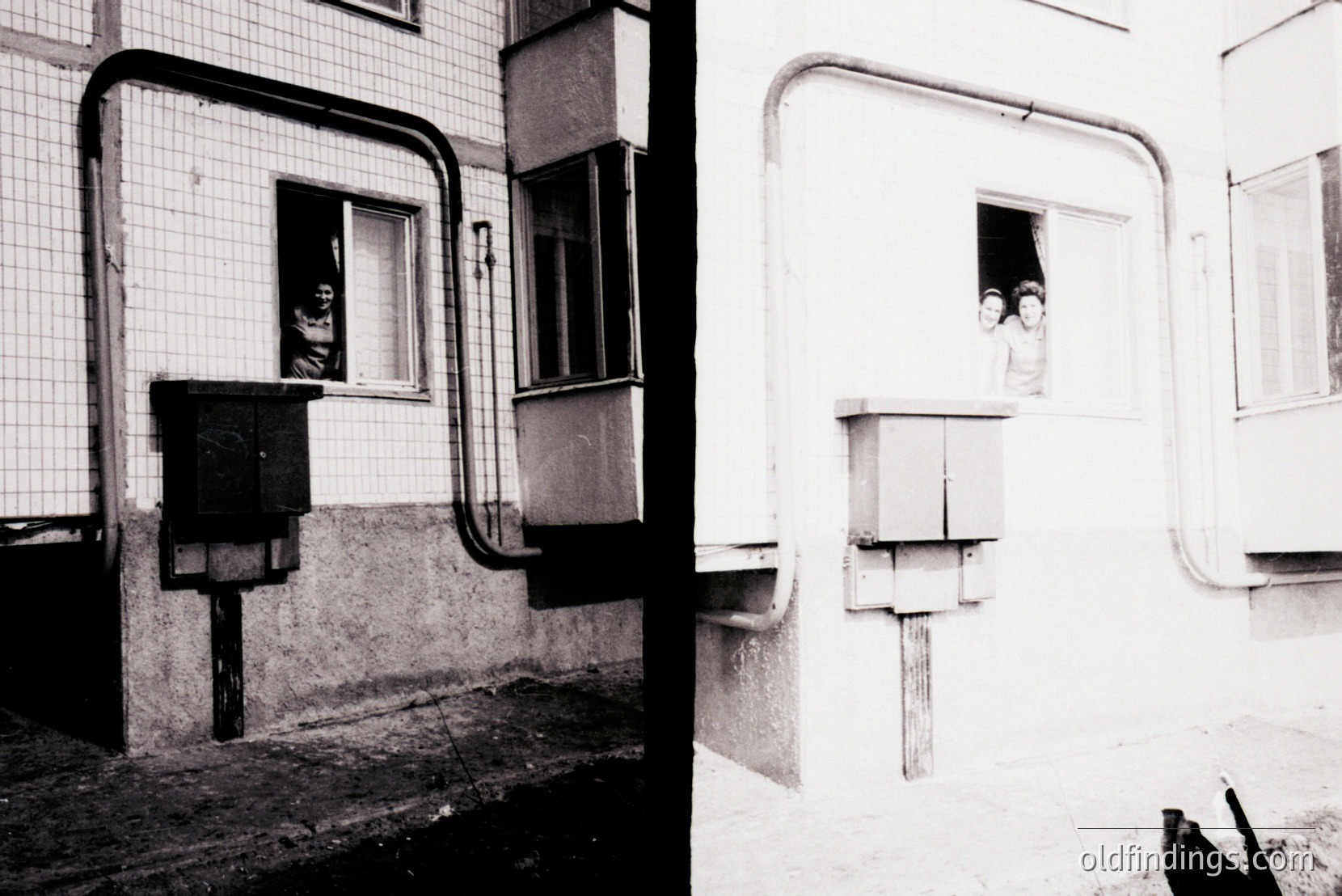 Vintage photograph