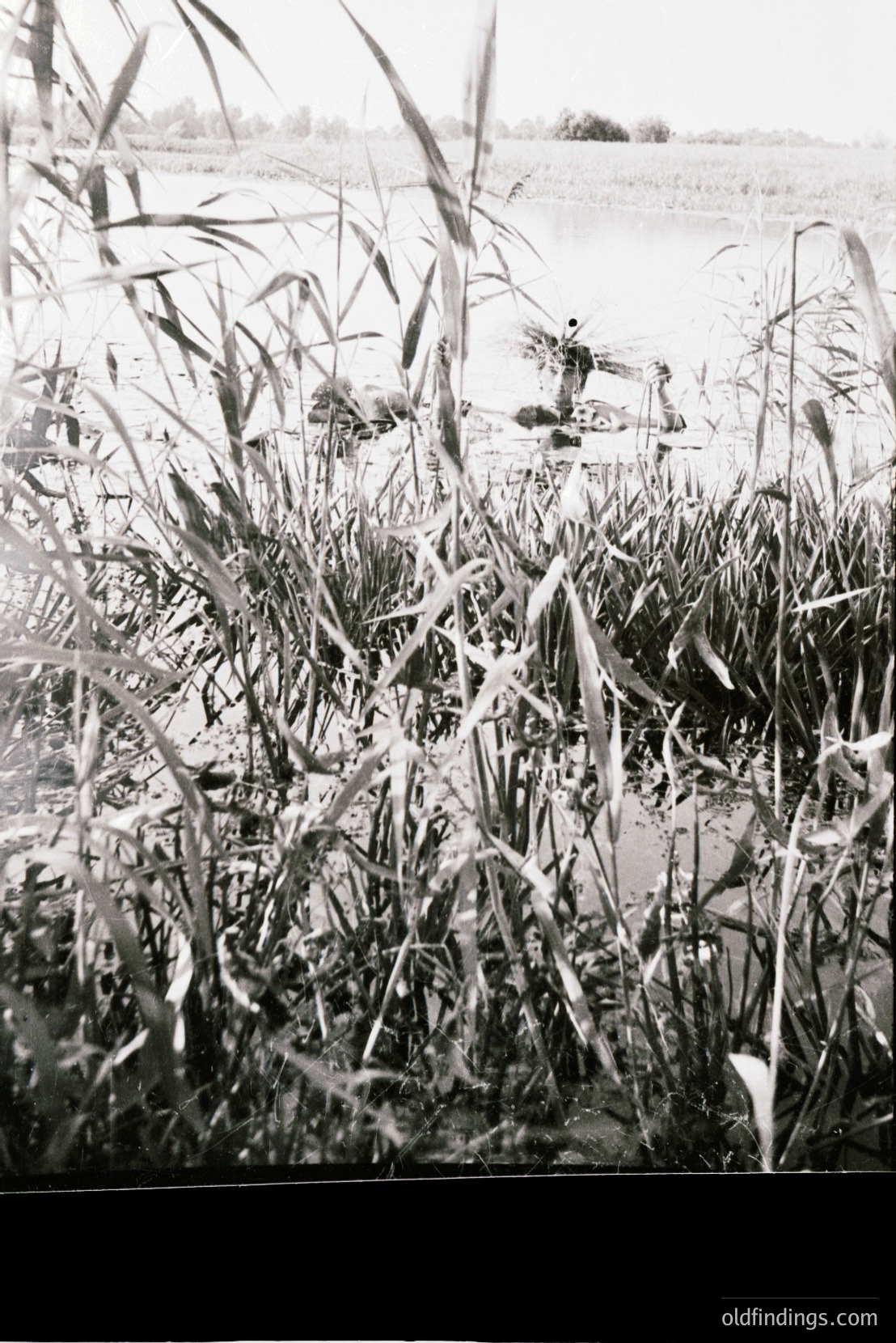 Vintage photograph