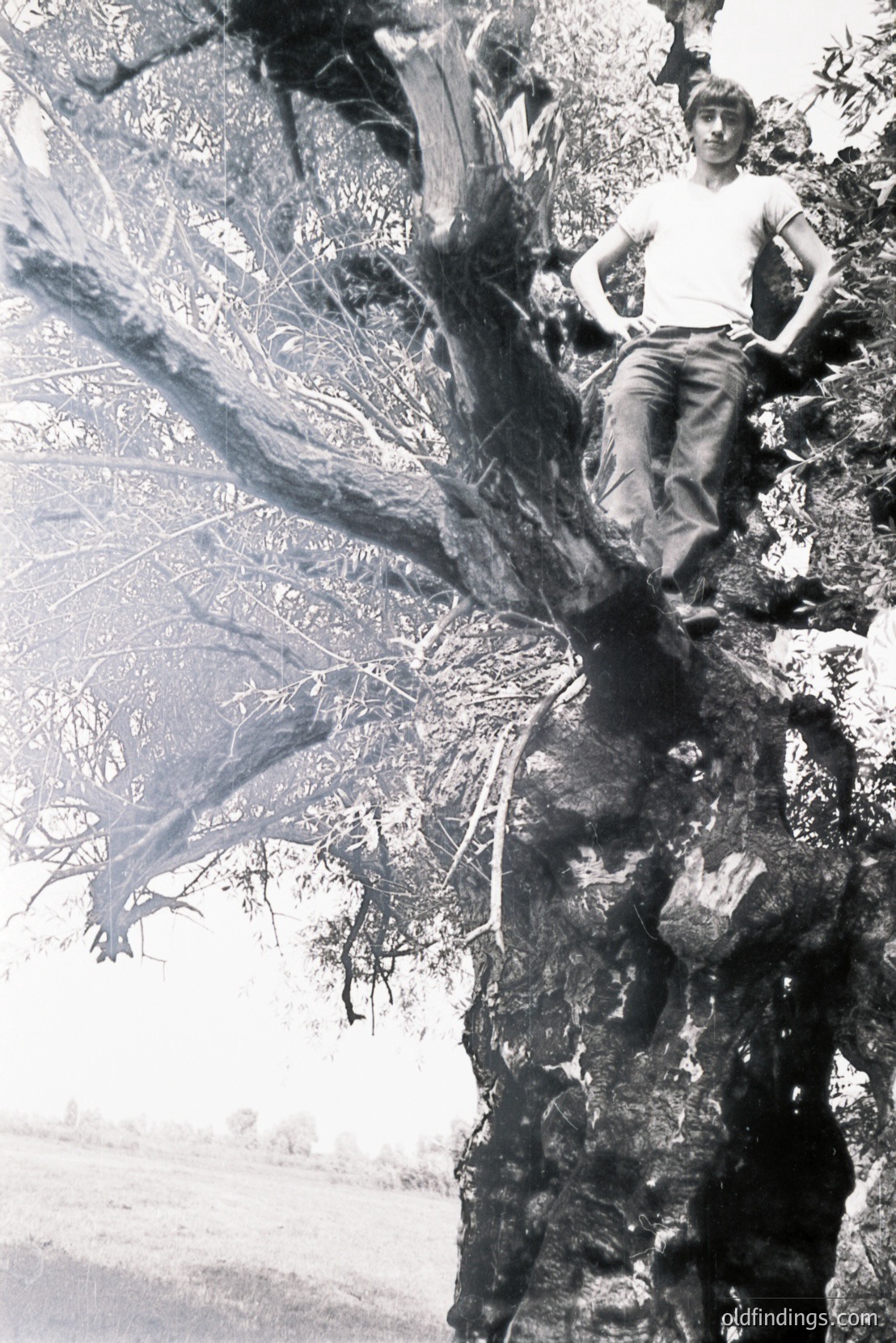 Vintage photograph
