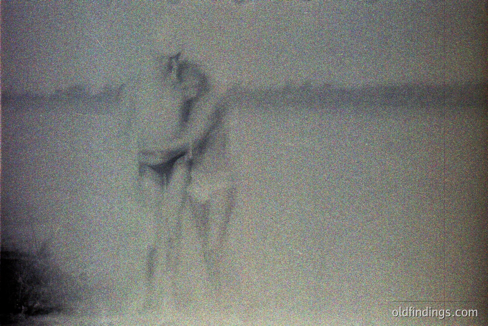 Vintage photograph