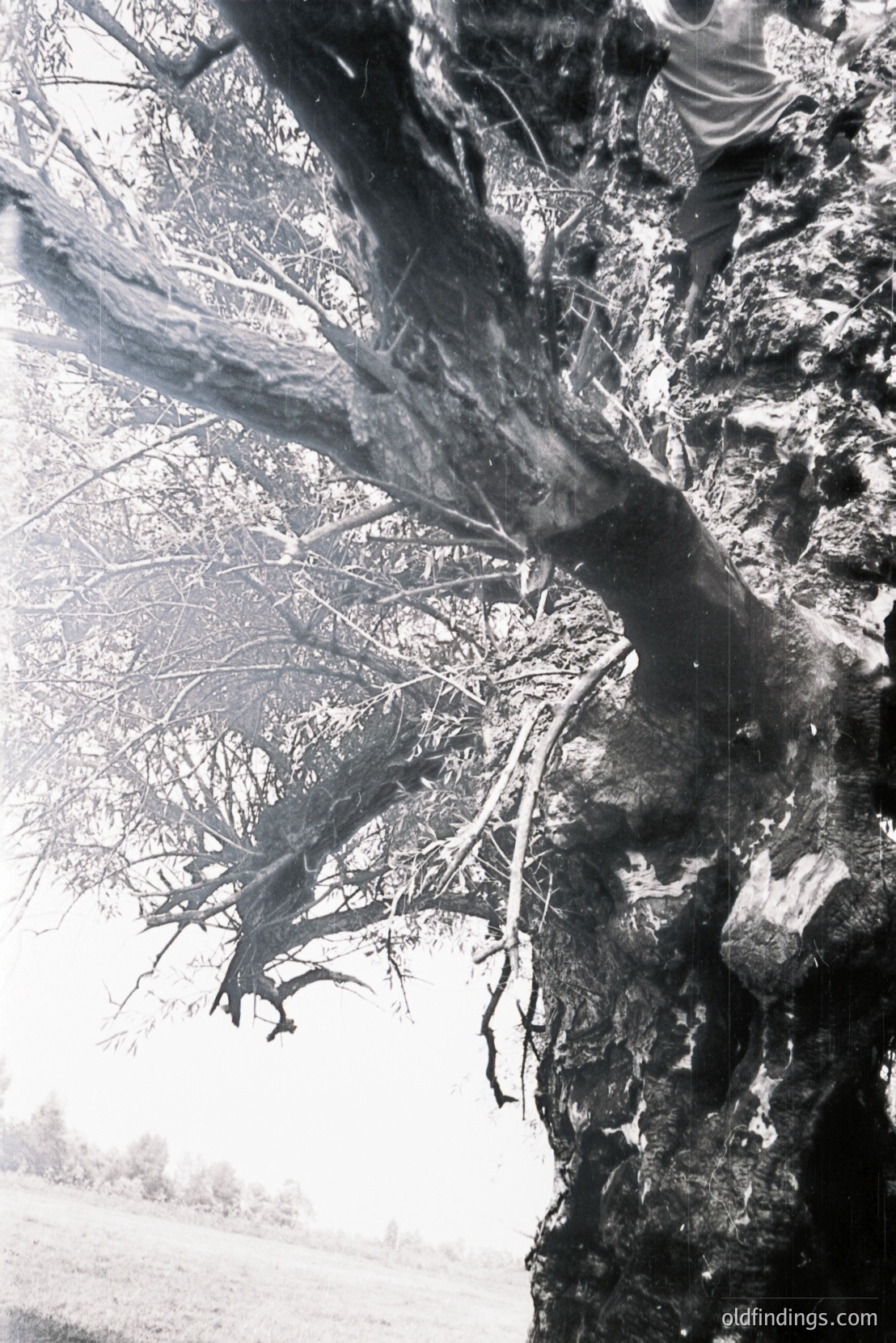 Vintage photograph