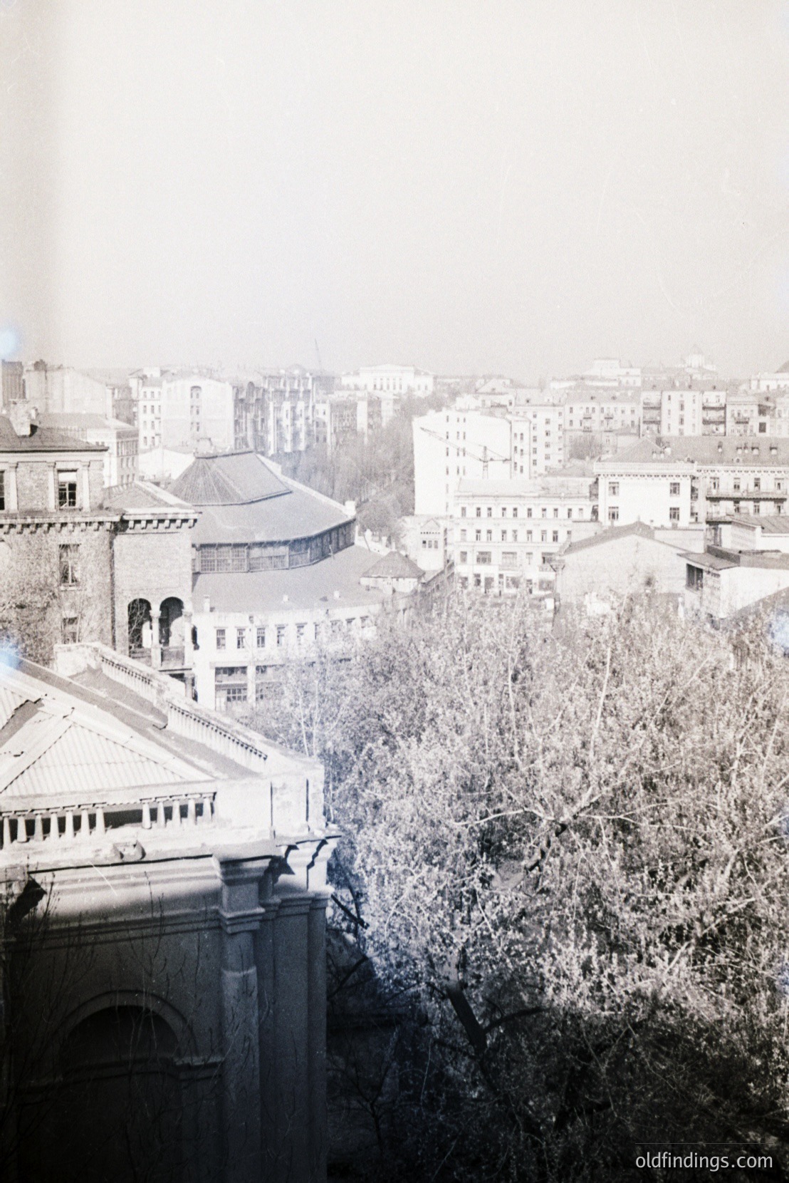 Vintage photograph