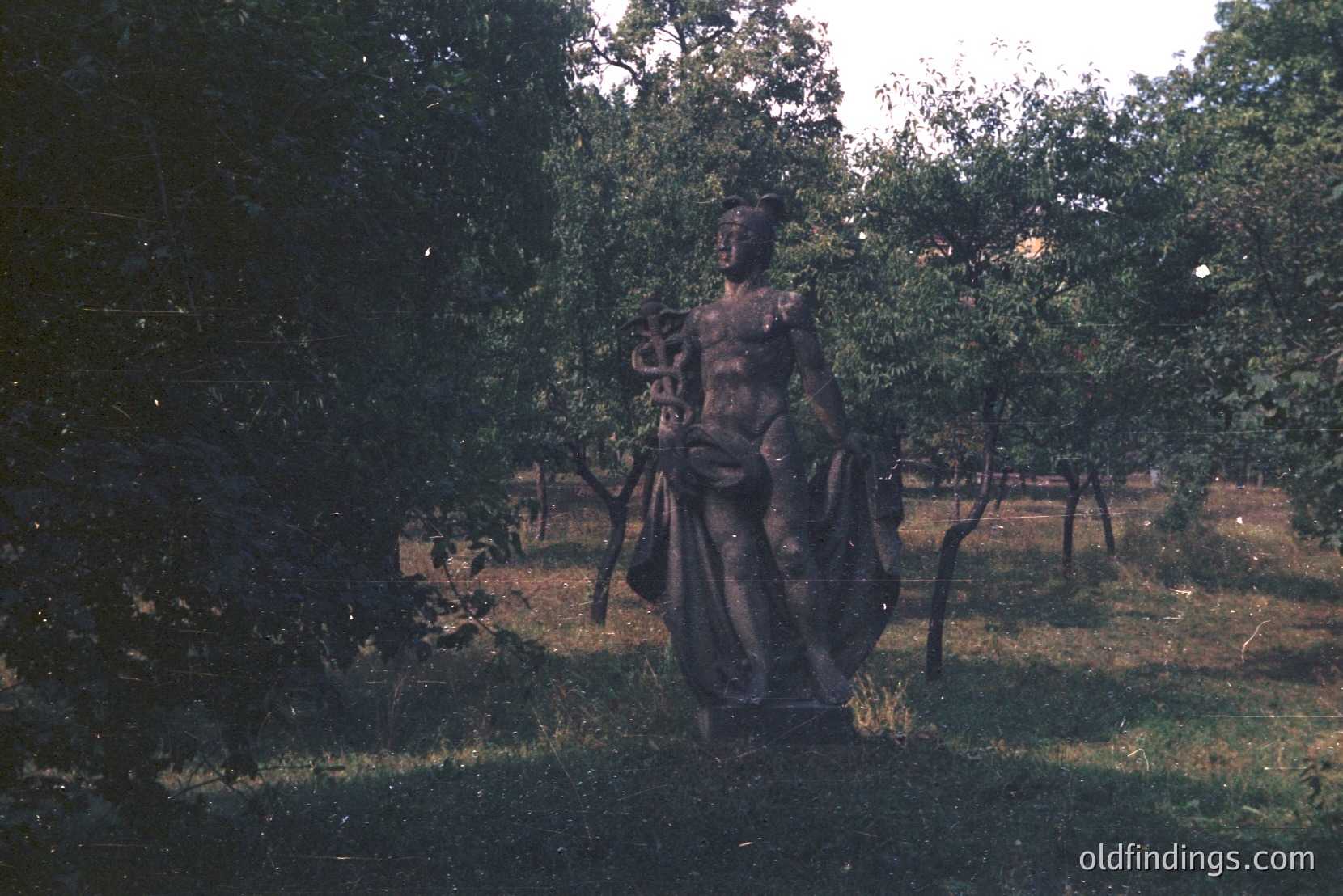Vintage photograph