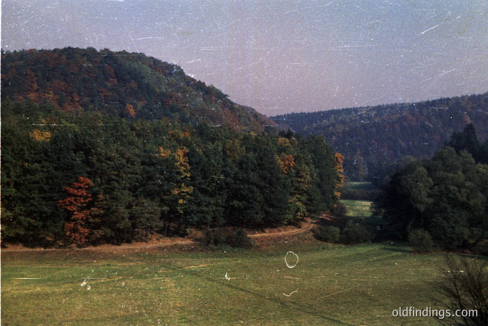 Vintage photograph